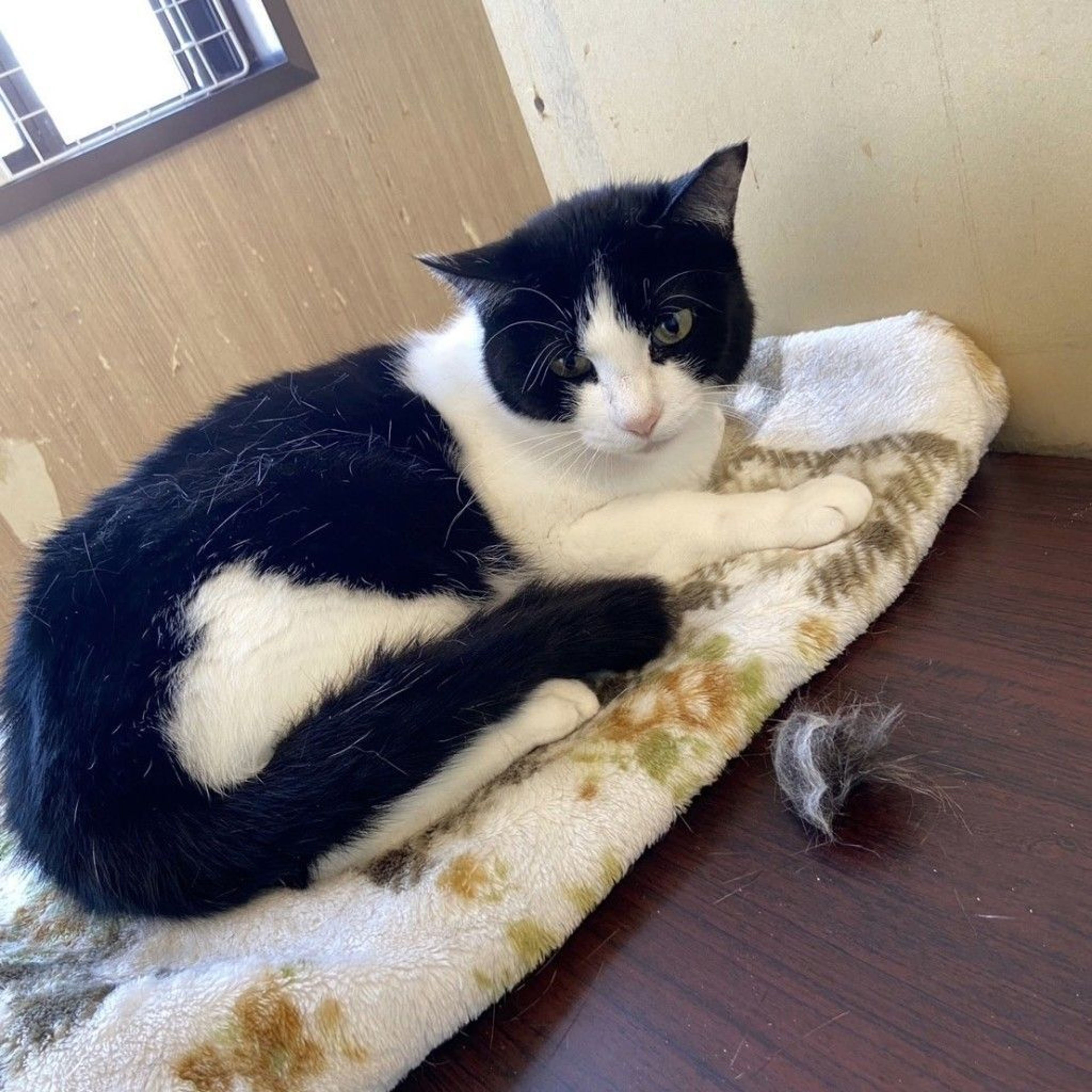 thumbnail-10