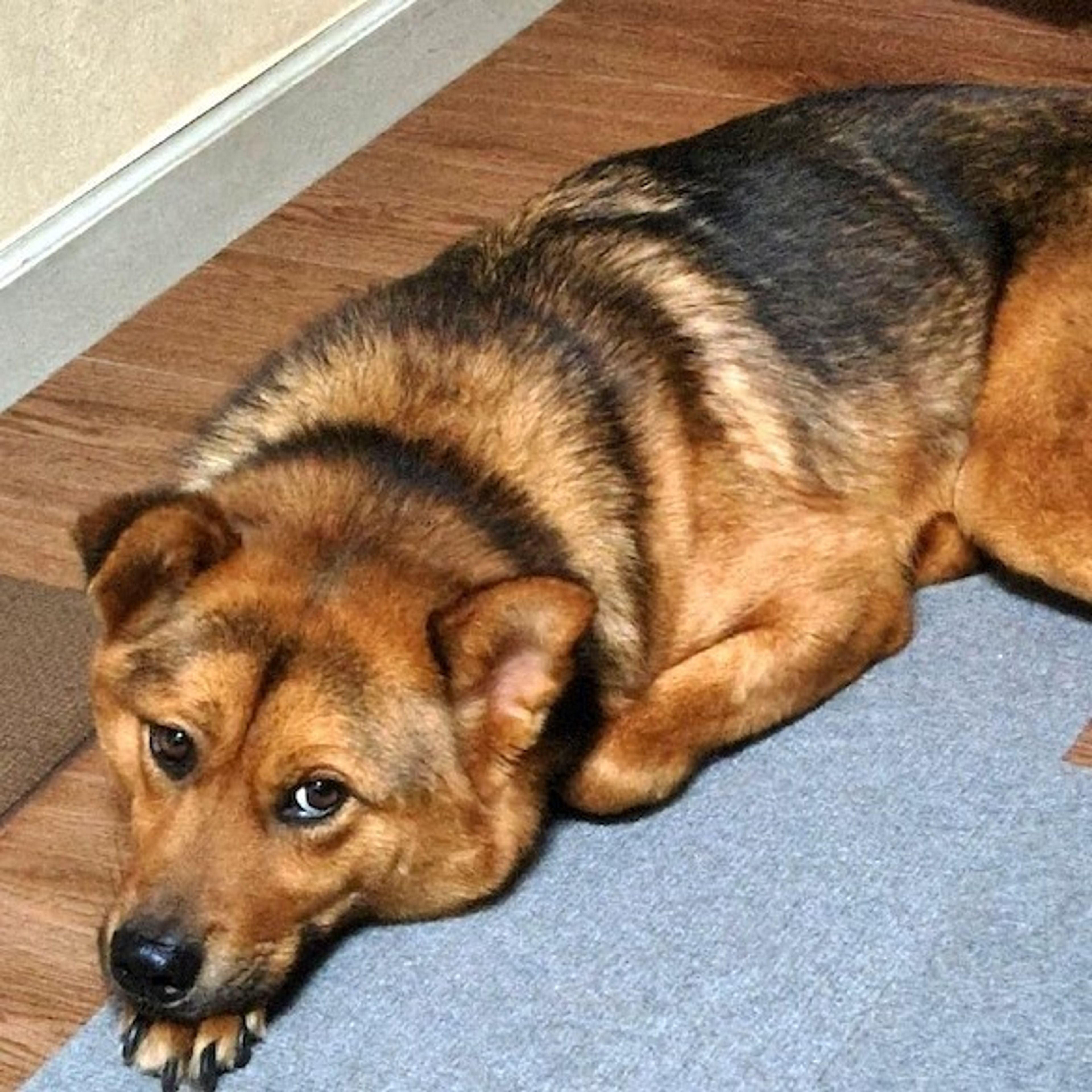 image-3