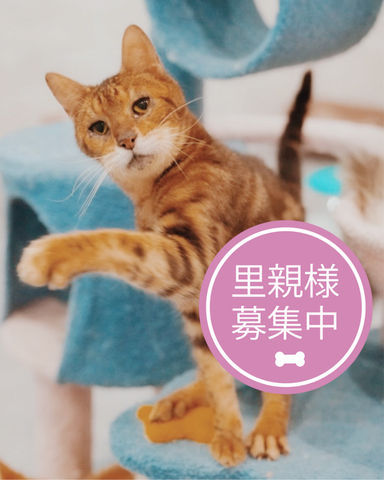 タッキー