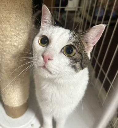 マルくん♡ほほえみちゃん