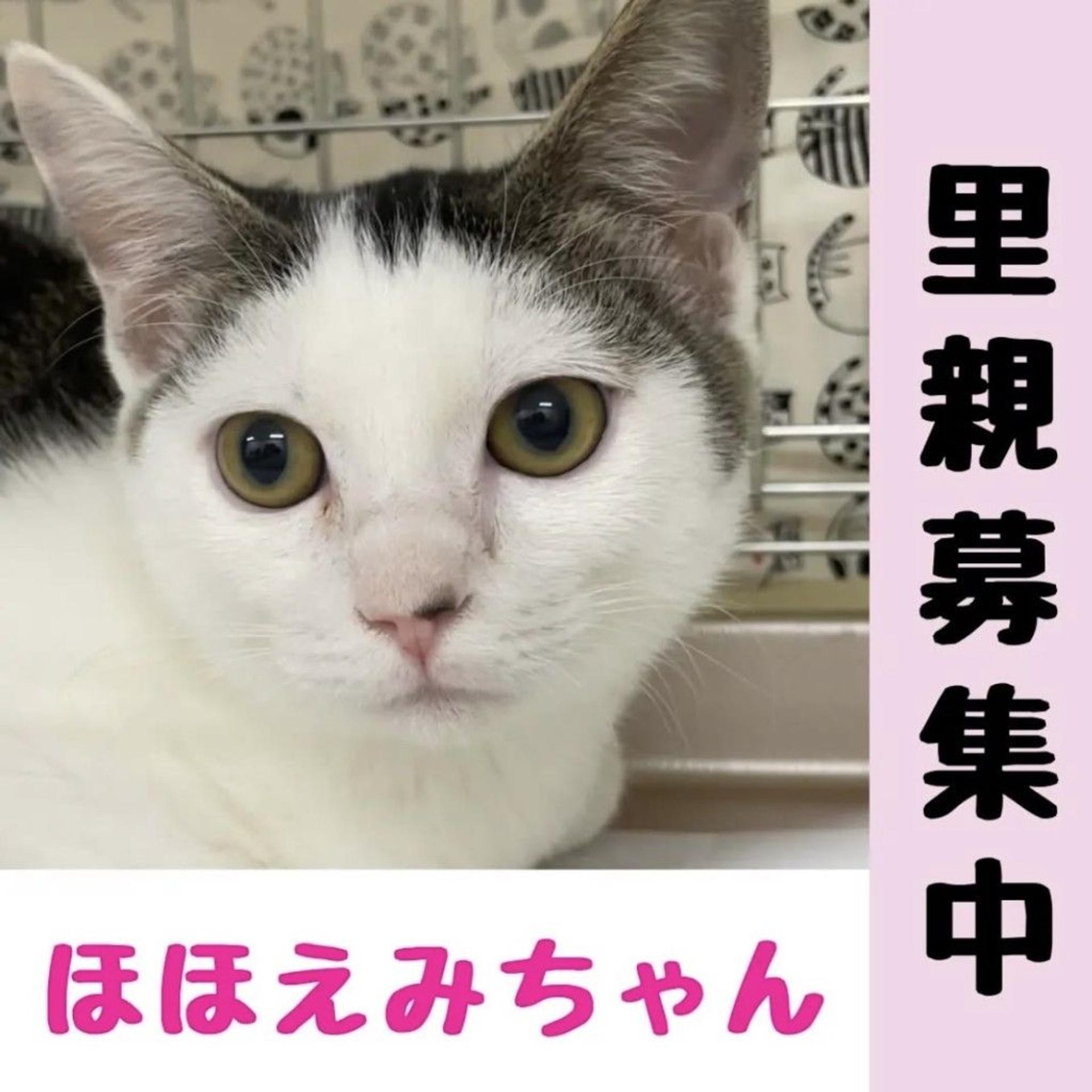 pet-image-2