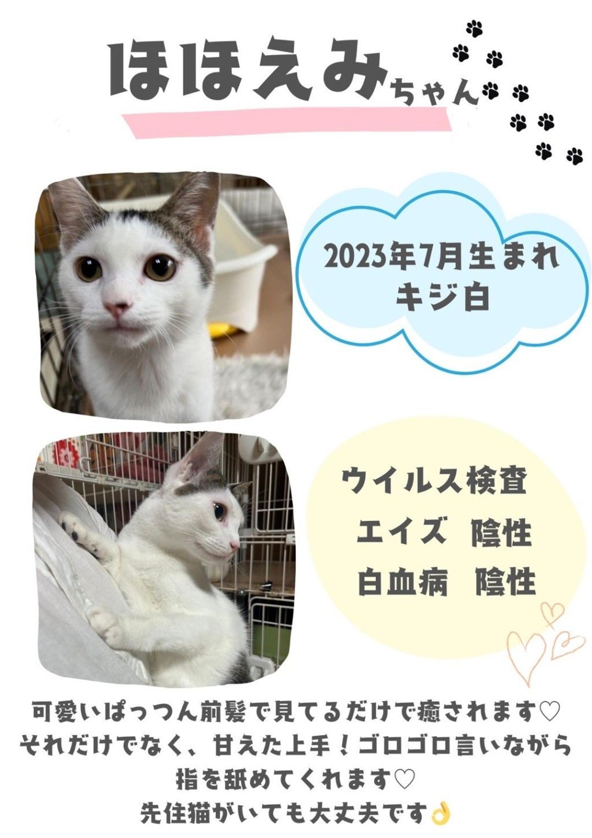 pet-image-7