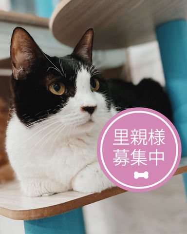 りん