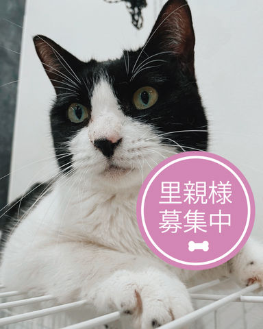 みか