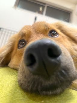 thumb-1