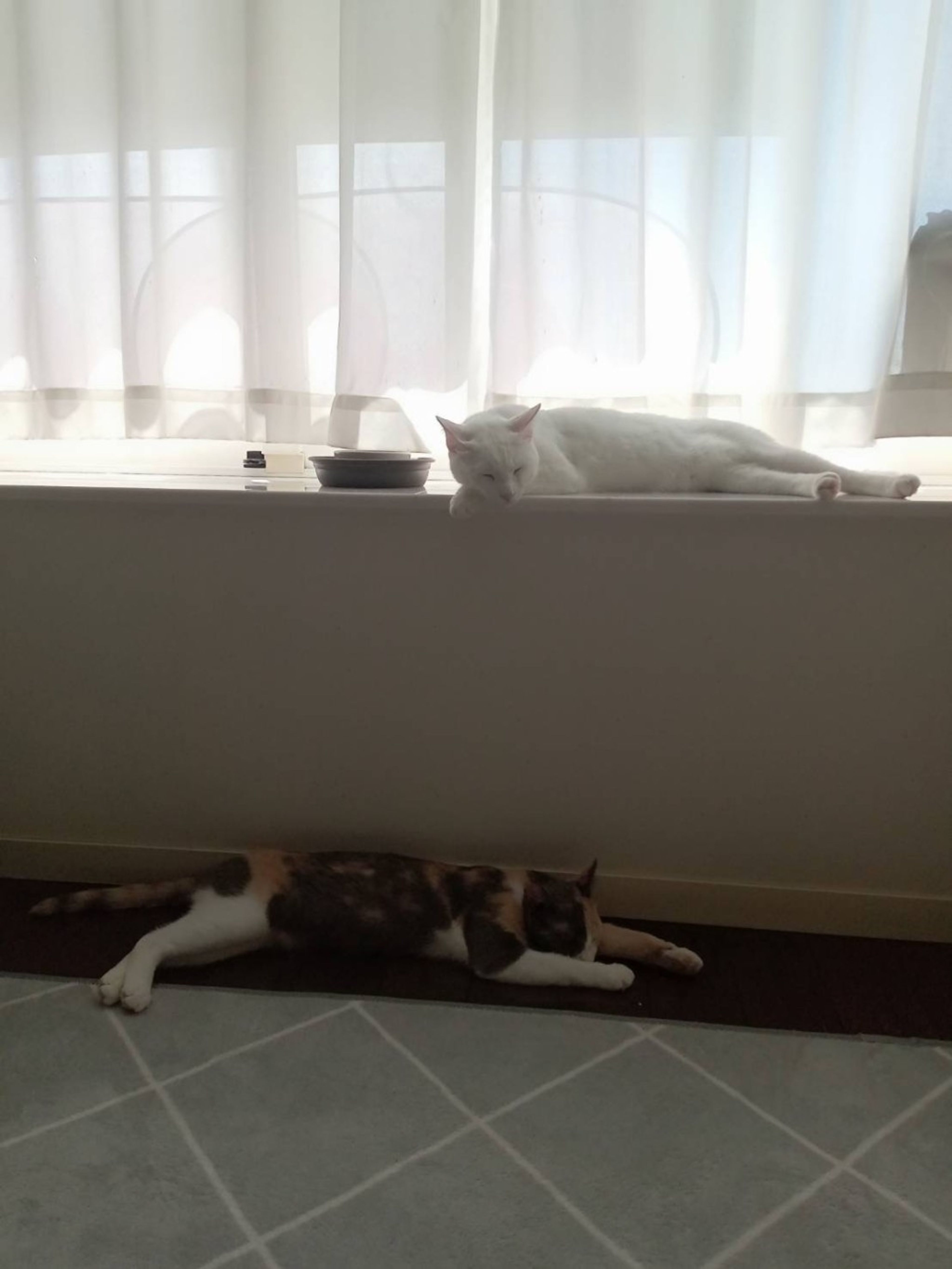 image-7