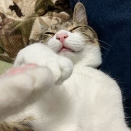 thumb-3