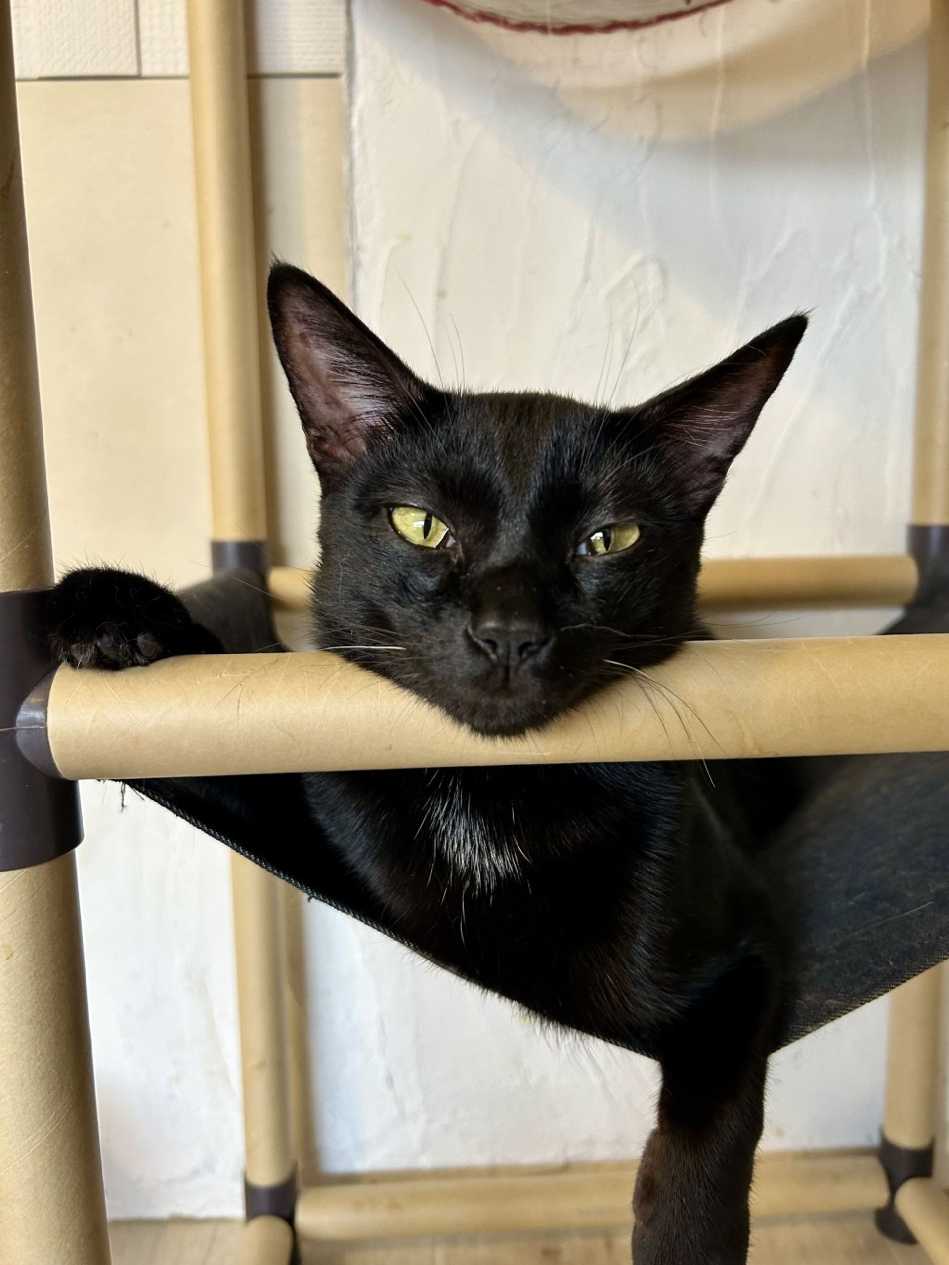 thumbnail-5
