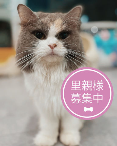 きたろう