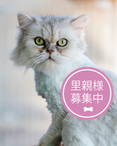 エマ