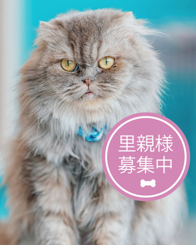 ギルダ