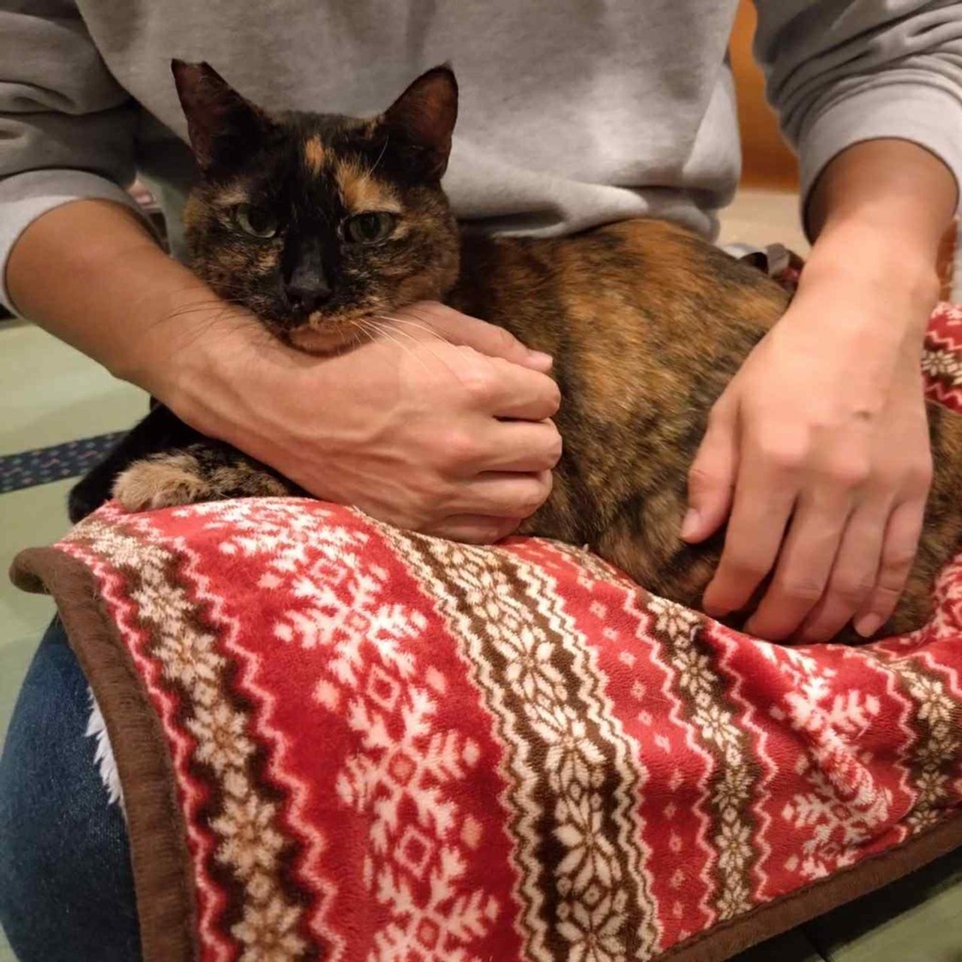 pet-image-2