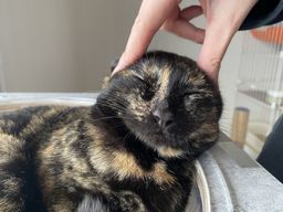 thumb-1