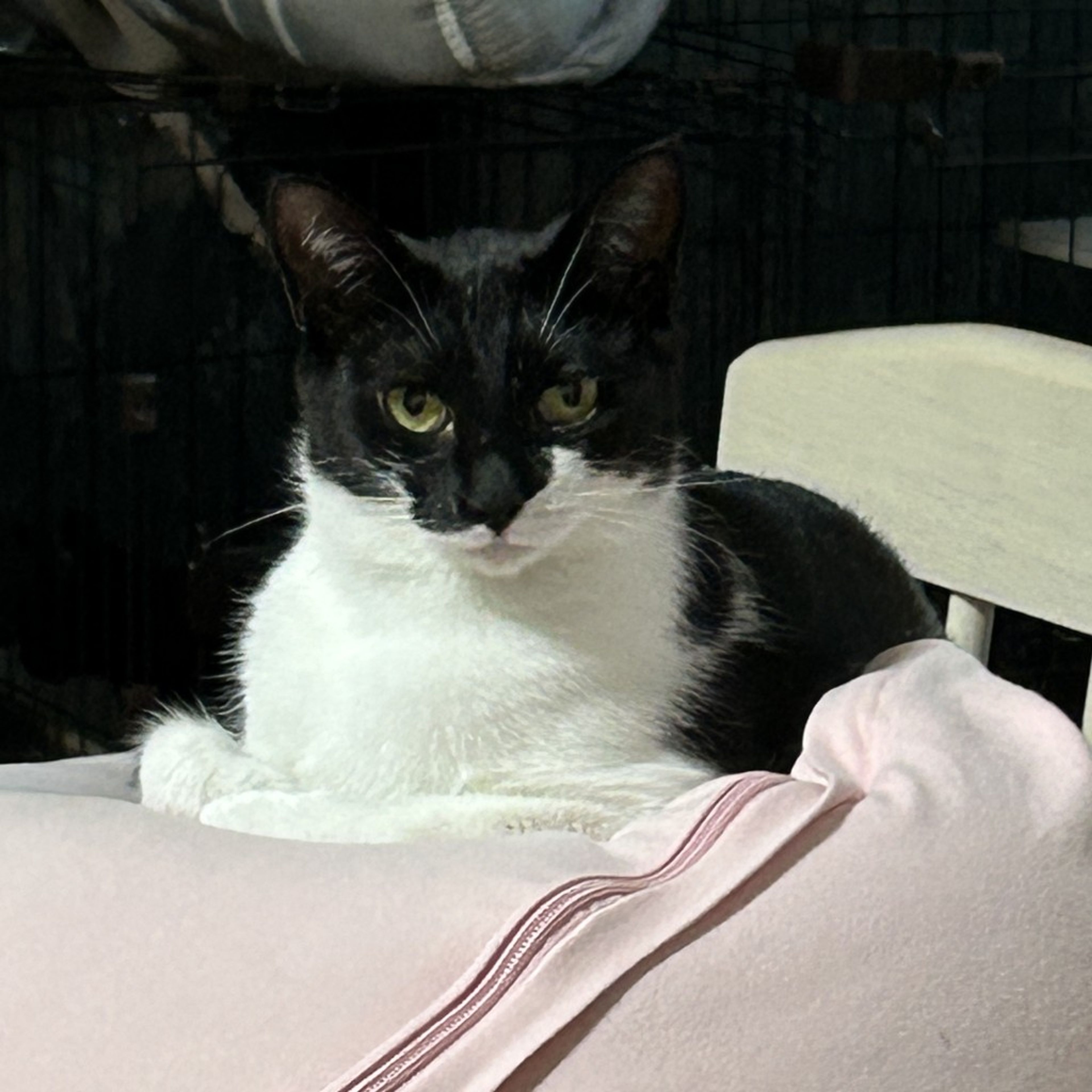 image-6