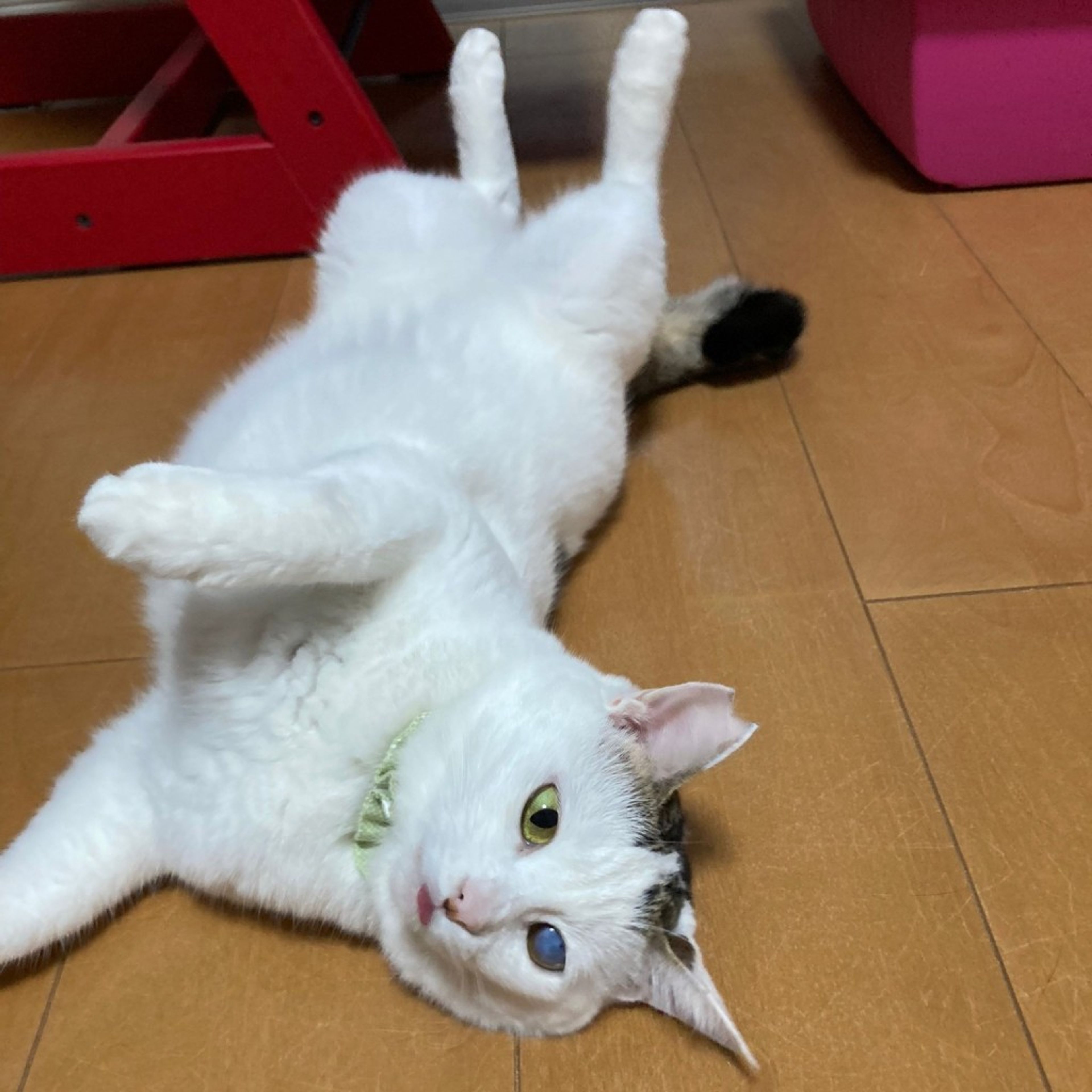 image-6