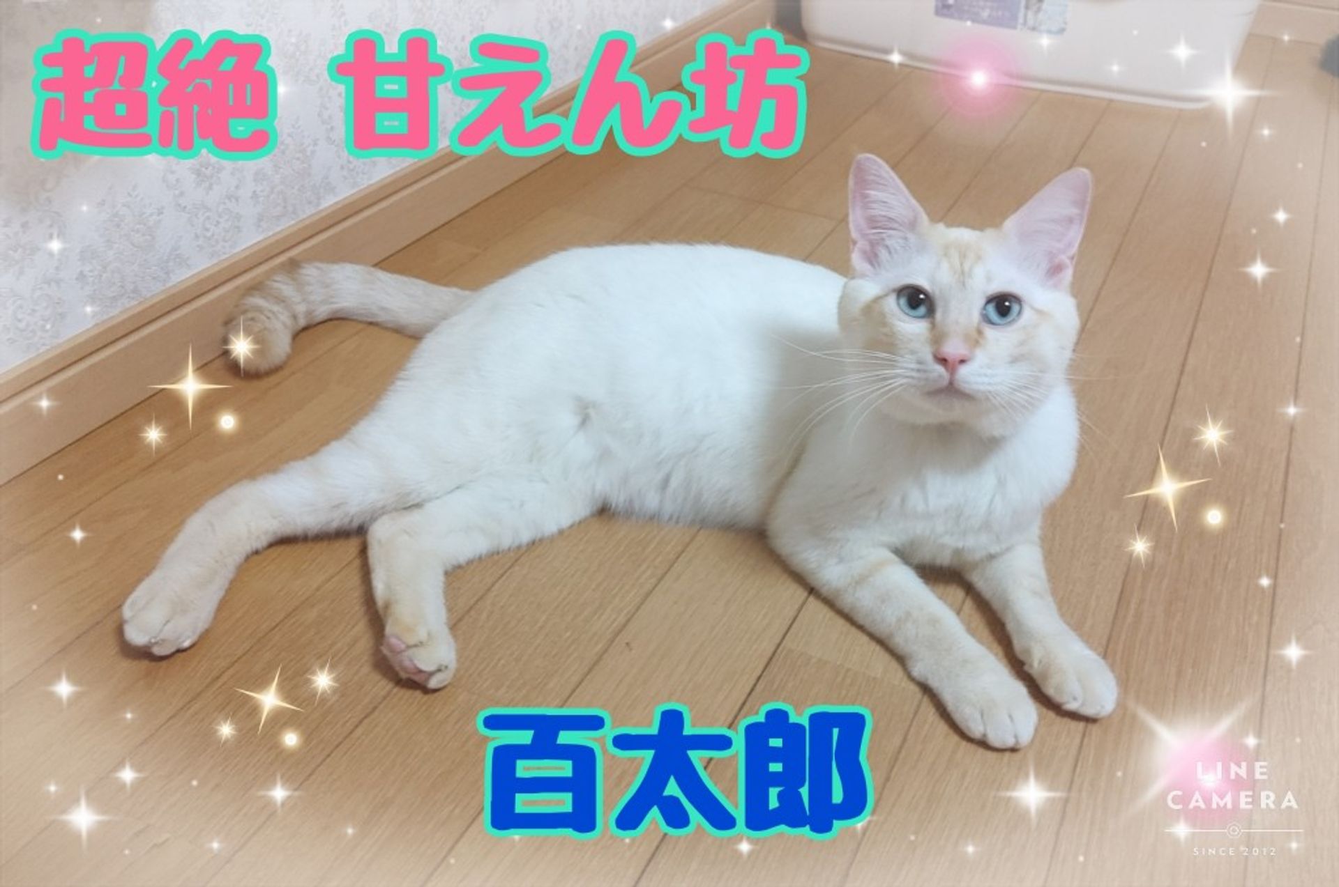 thumbnail-9