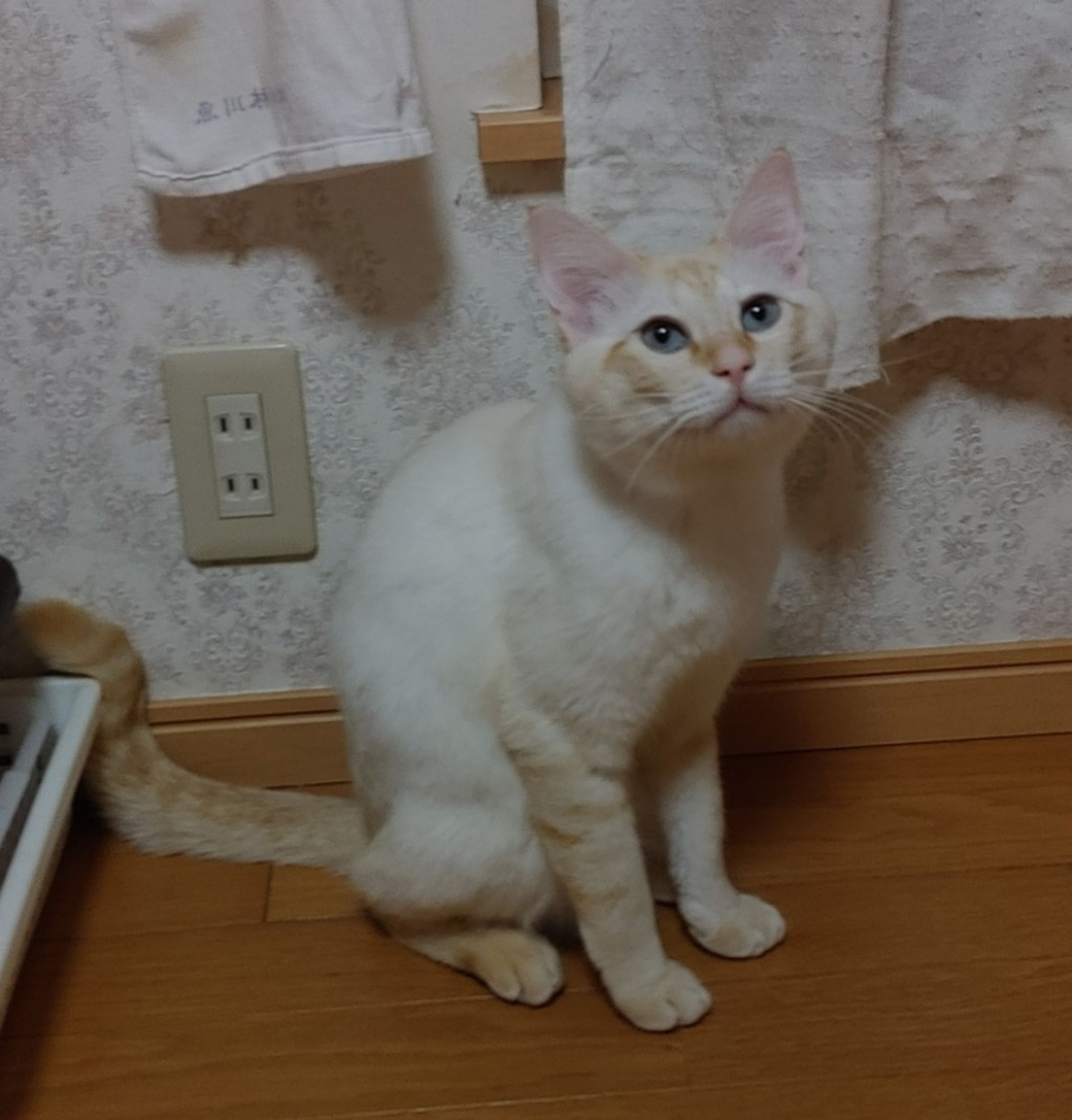 image-9
