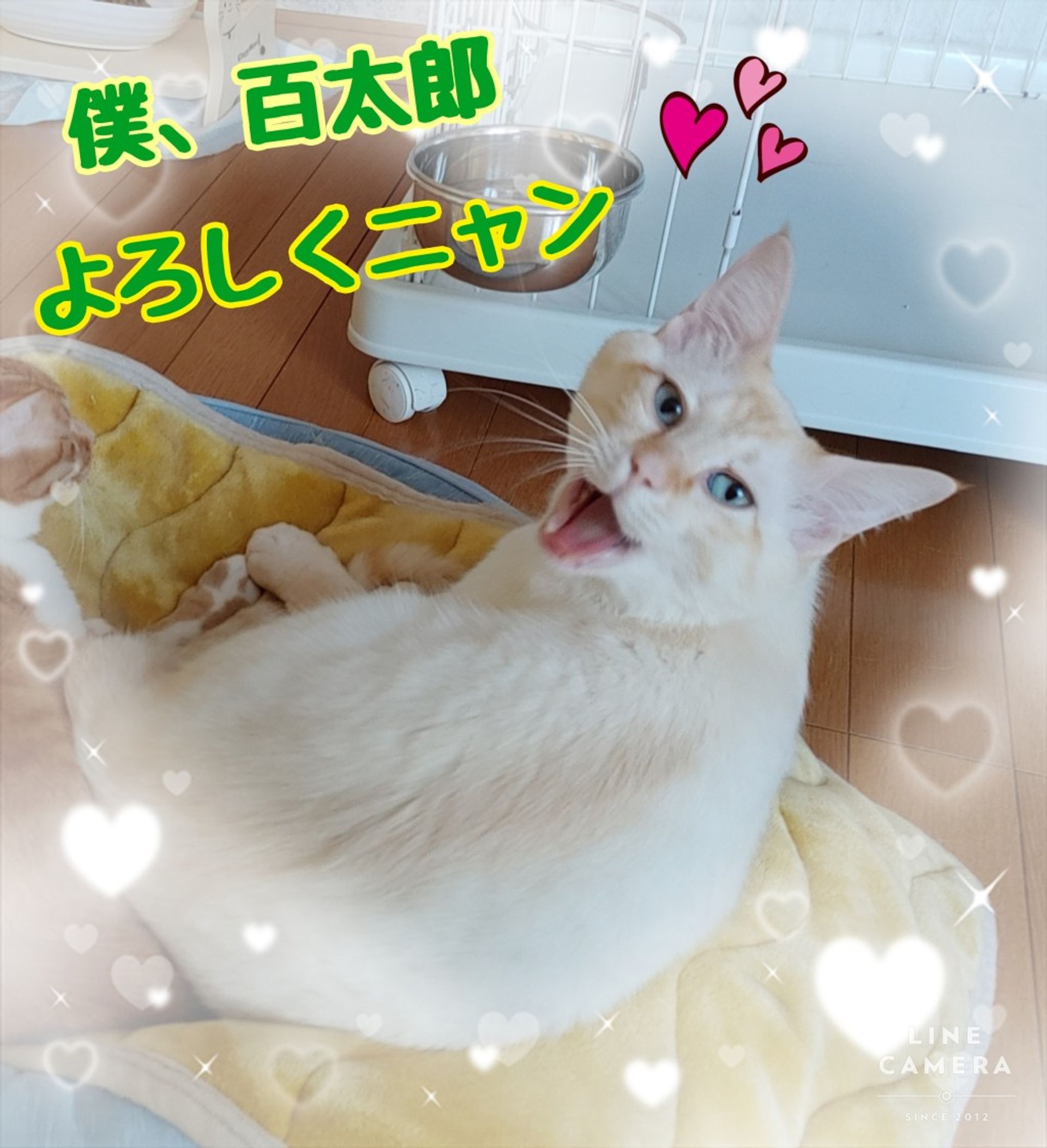 thumbnail-8