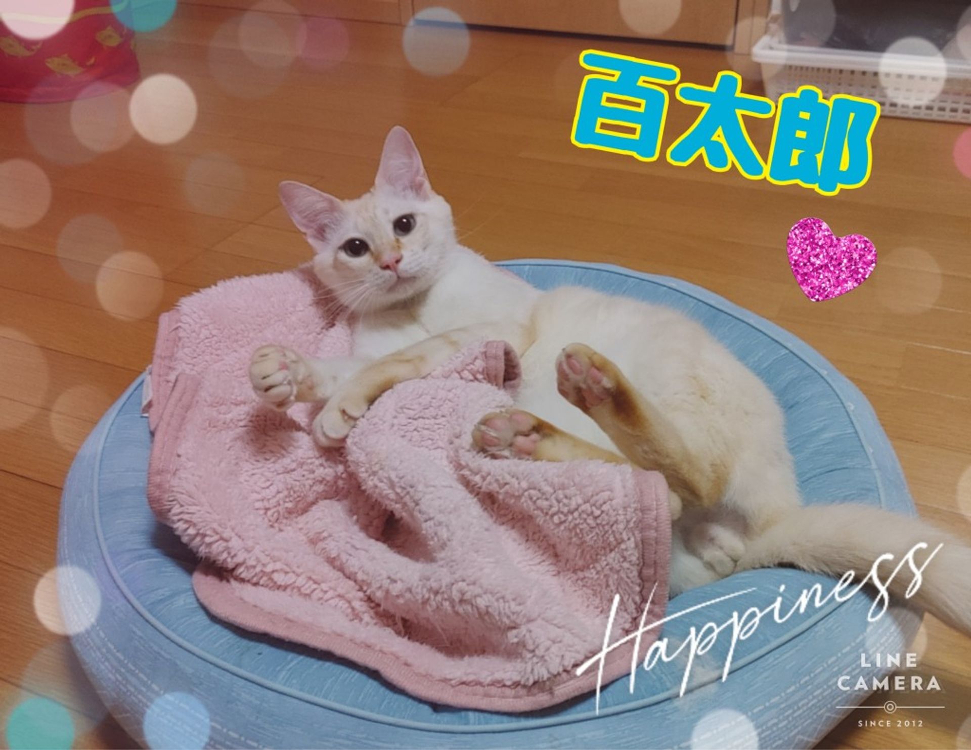 thumbnail-3