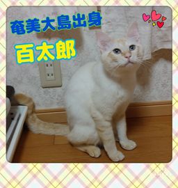 thumb-6