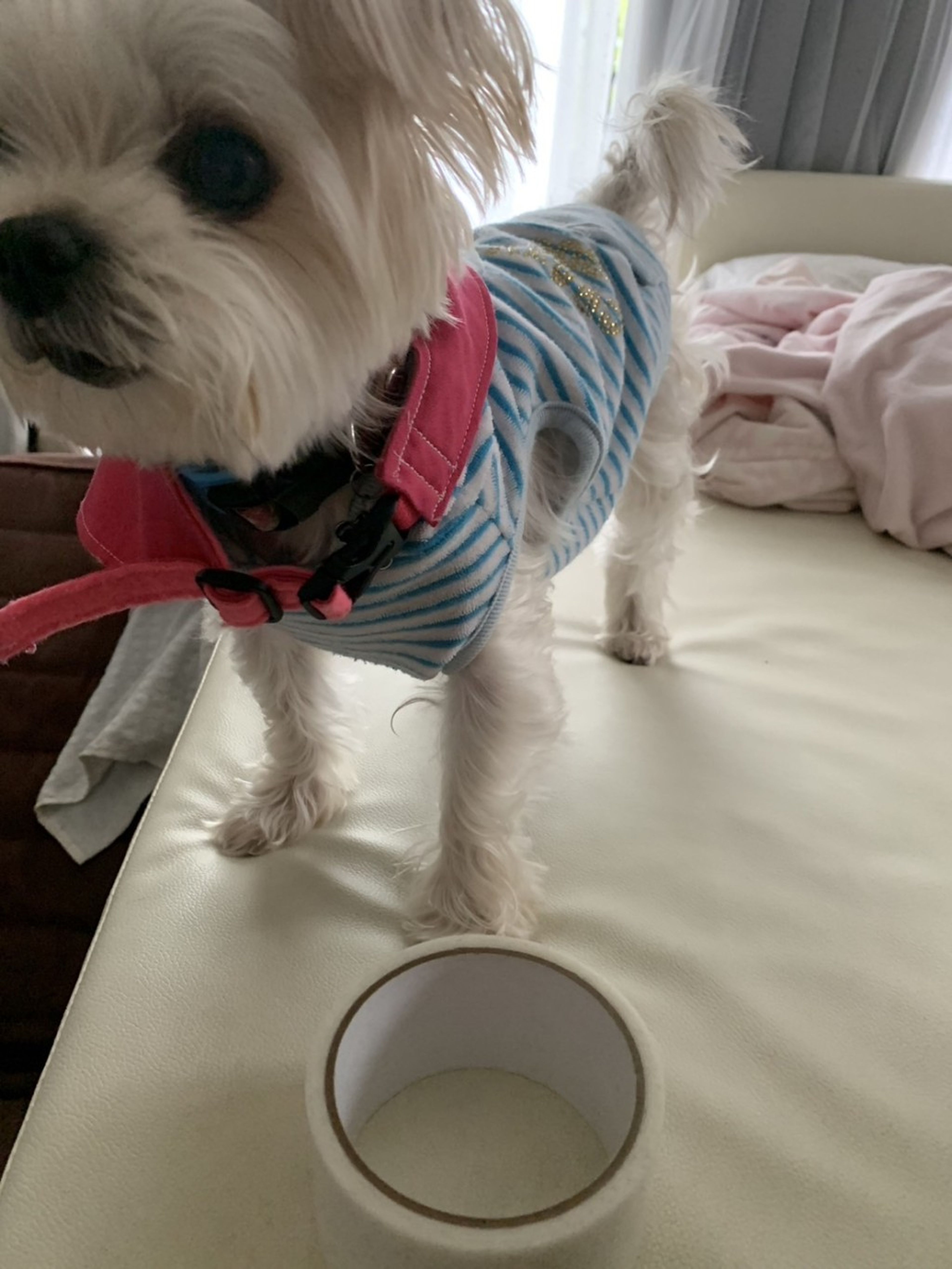 image-6