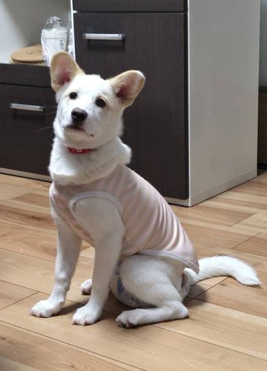 ちぃの写真