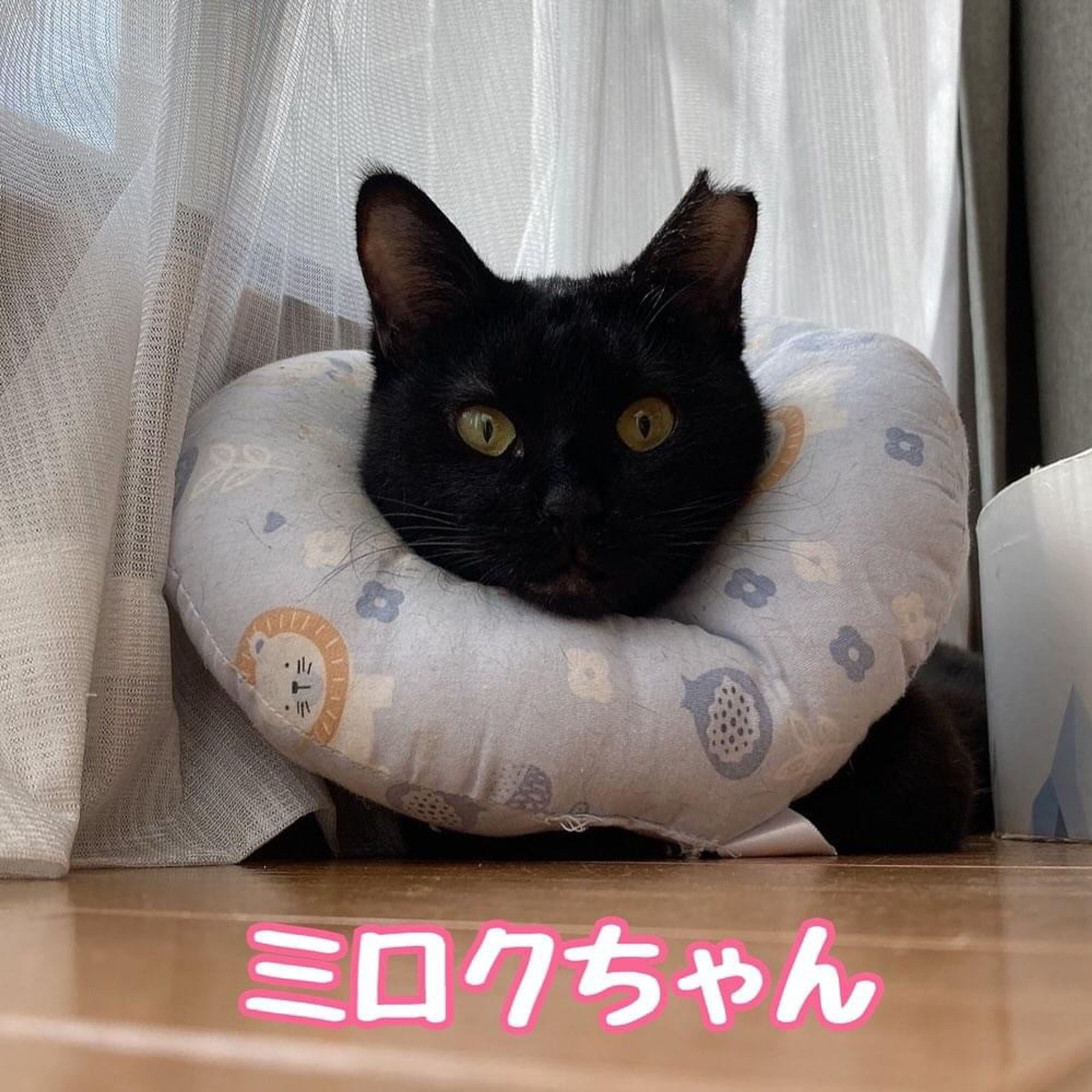 image-0