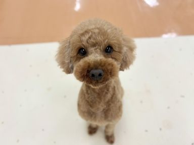 はるもに