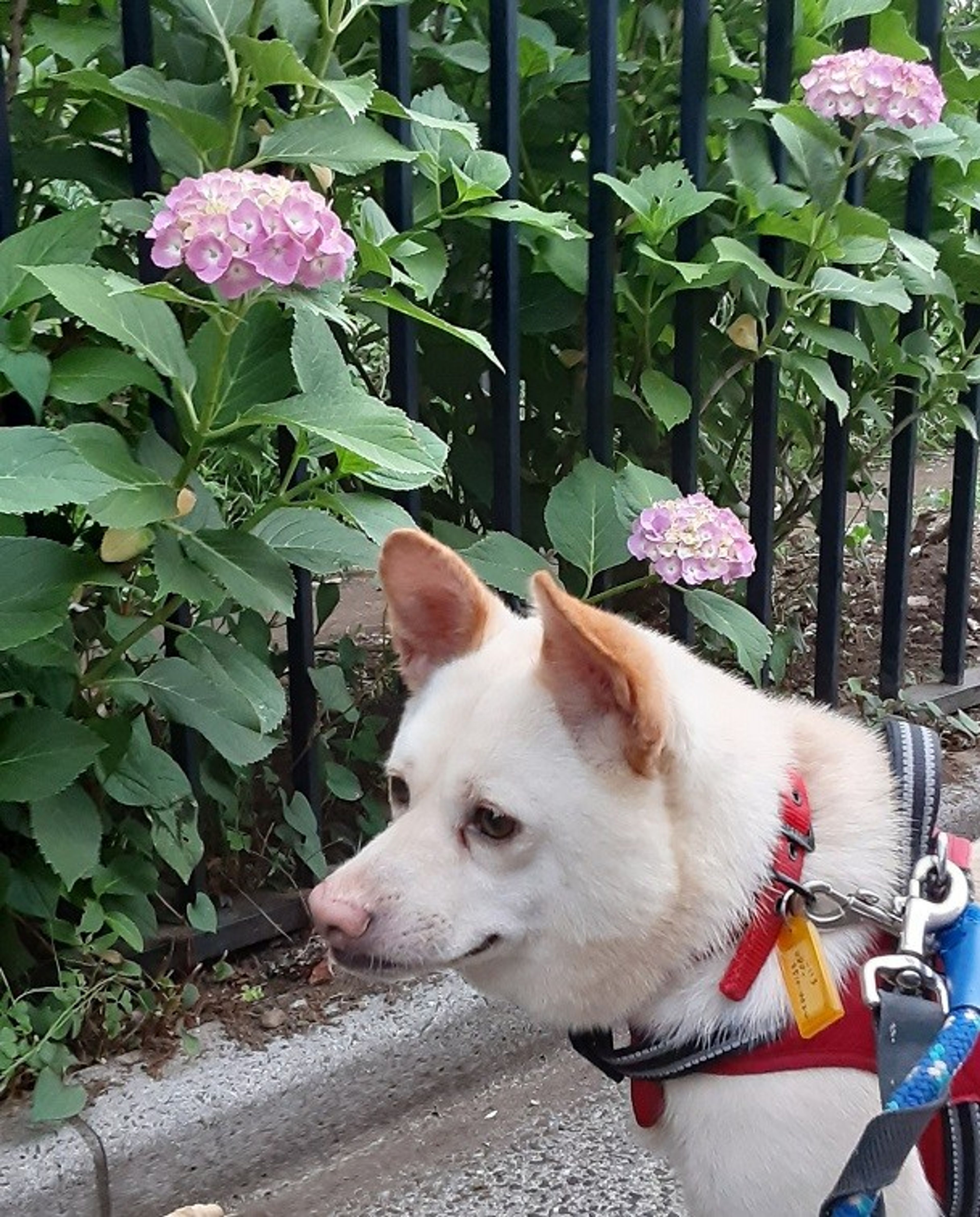 image-5