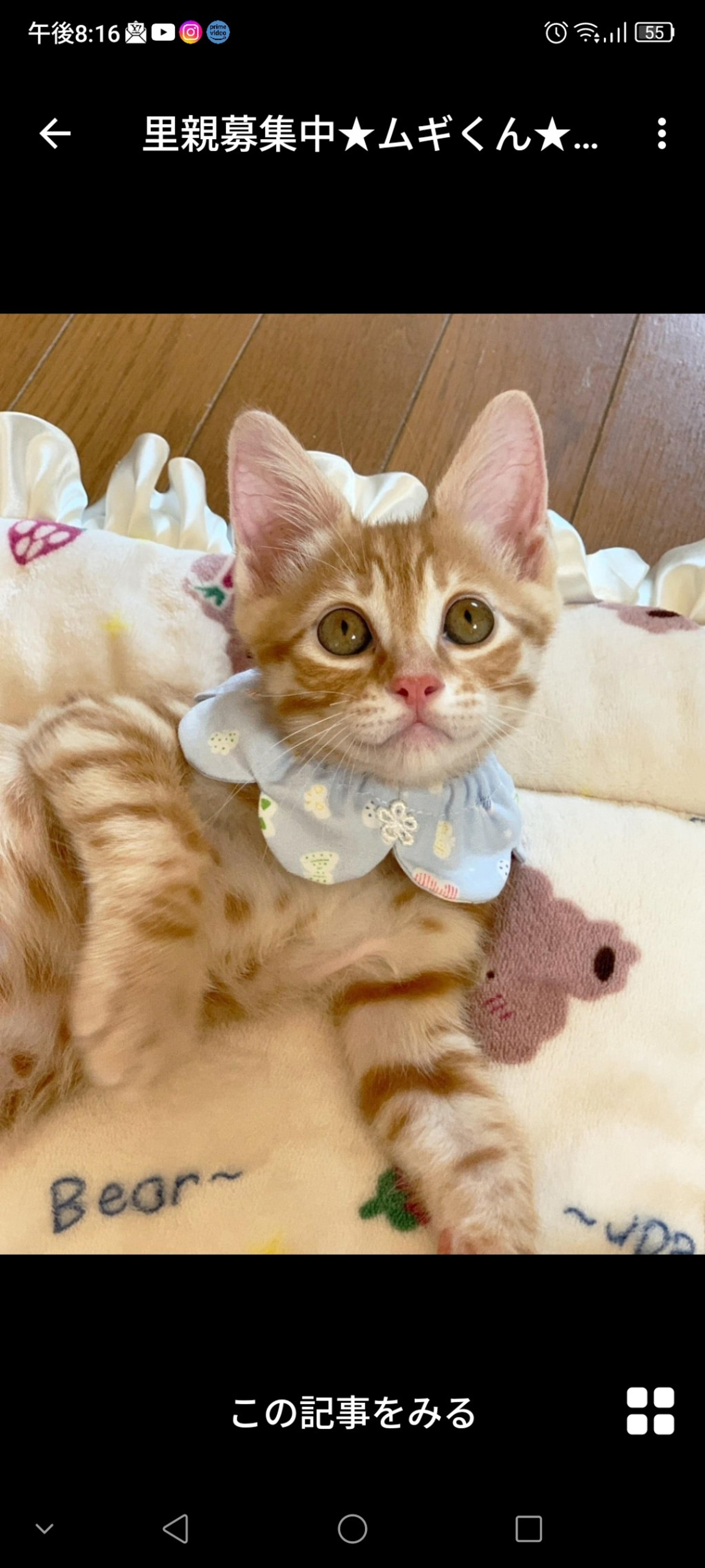 pet-image-2