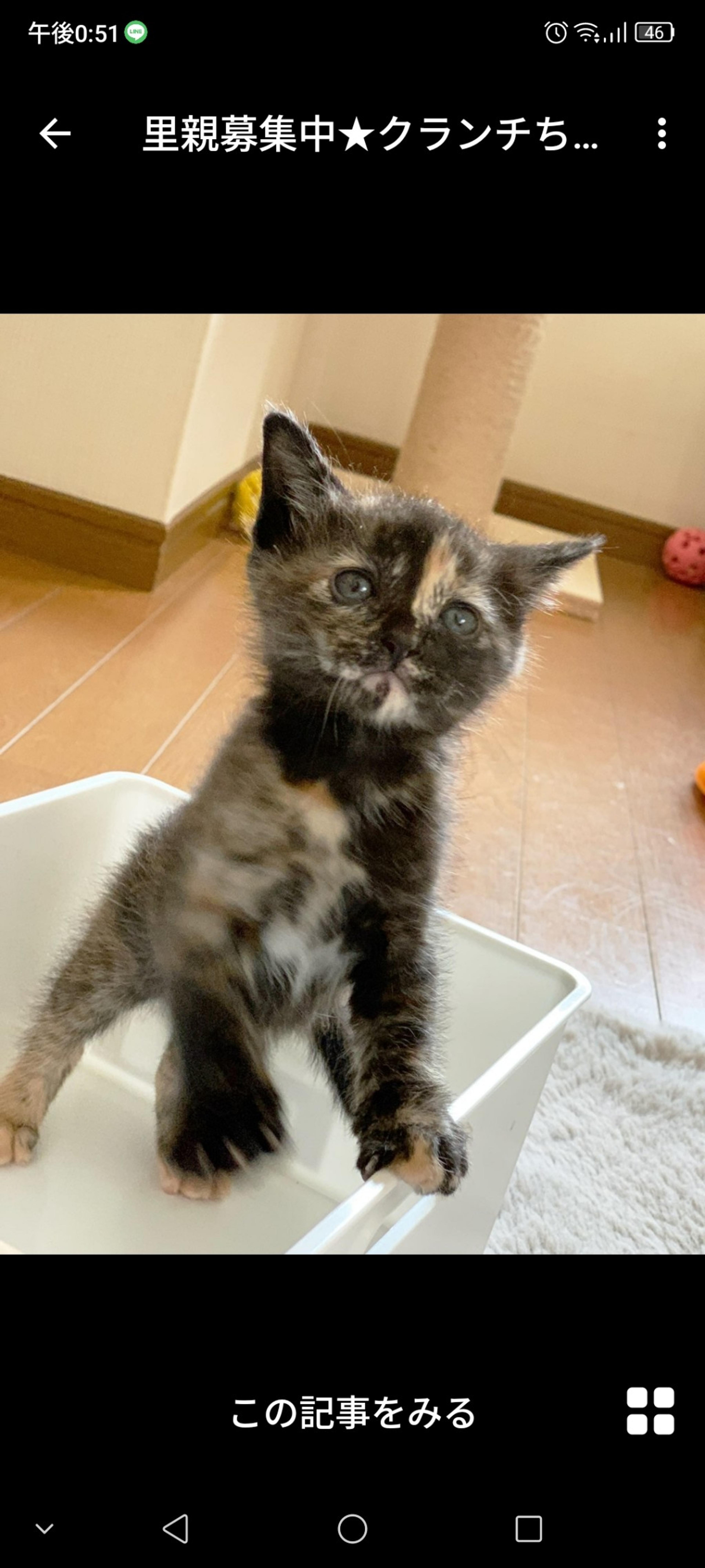 pet-image-2
