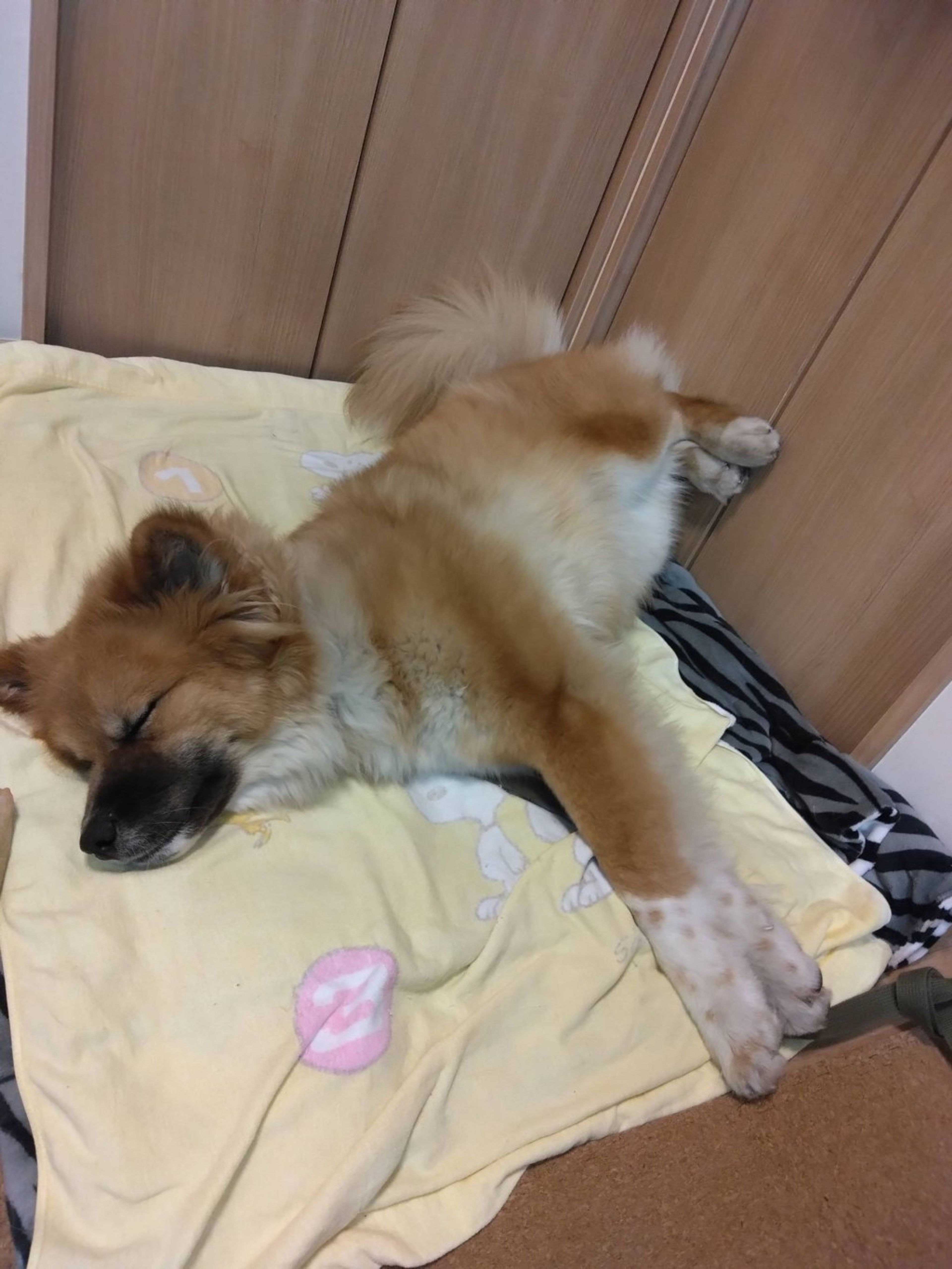 image-3