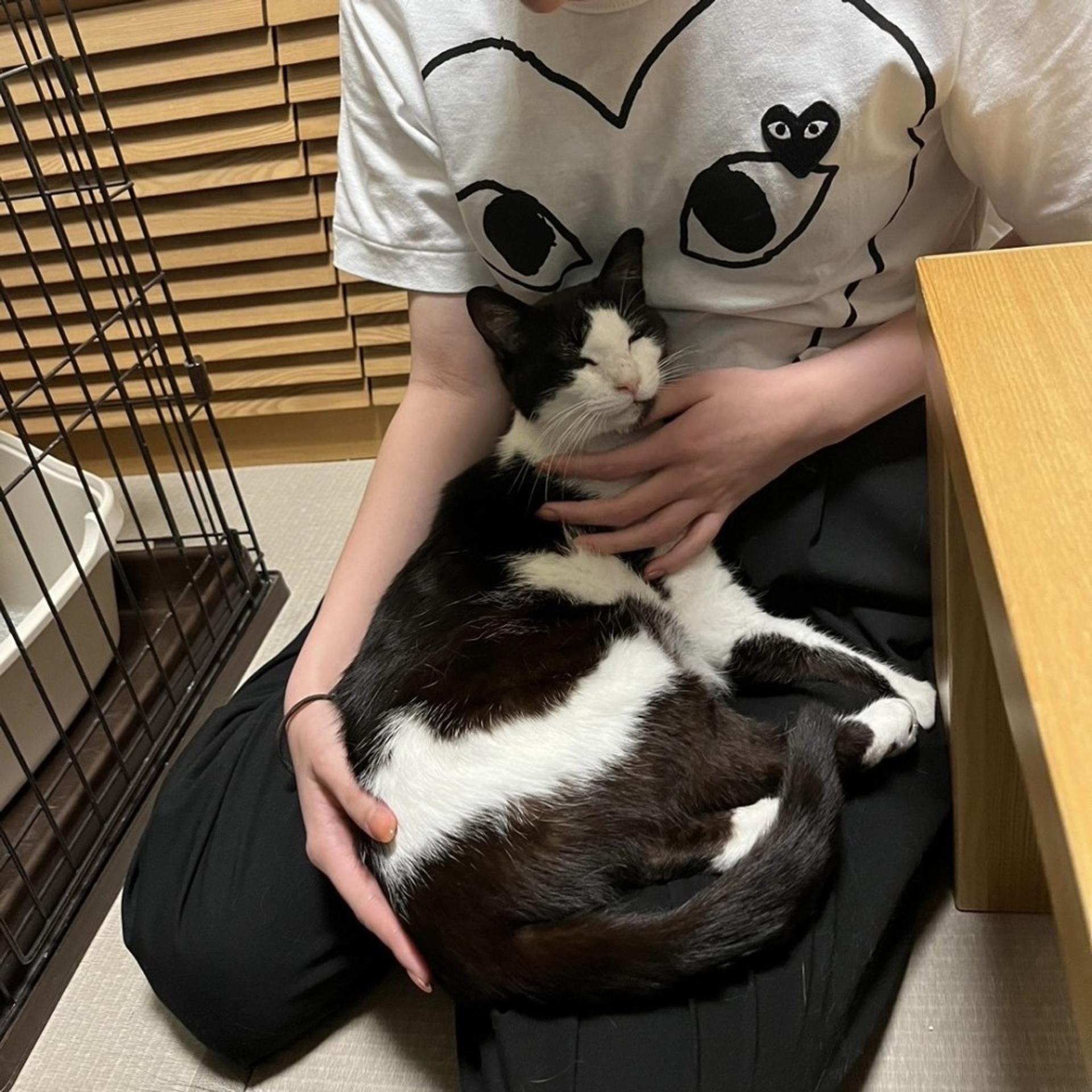 pet-image-6