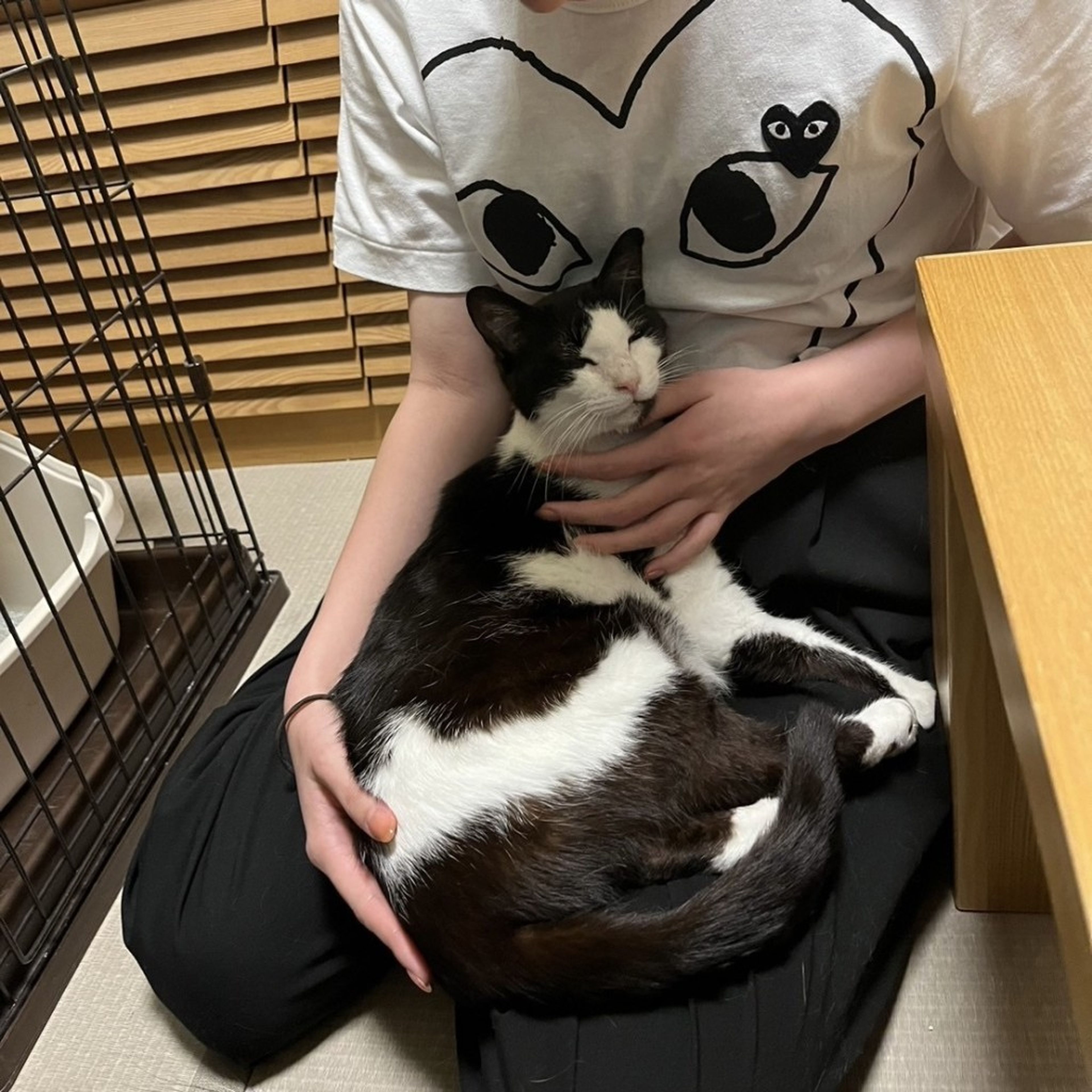 pet-image-6