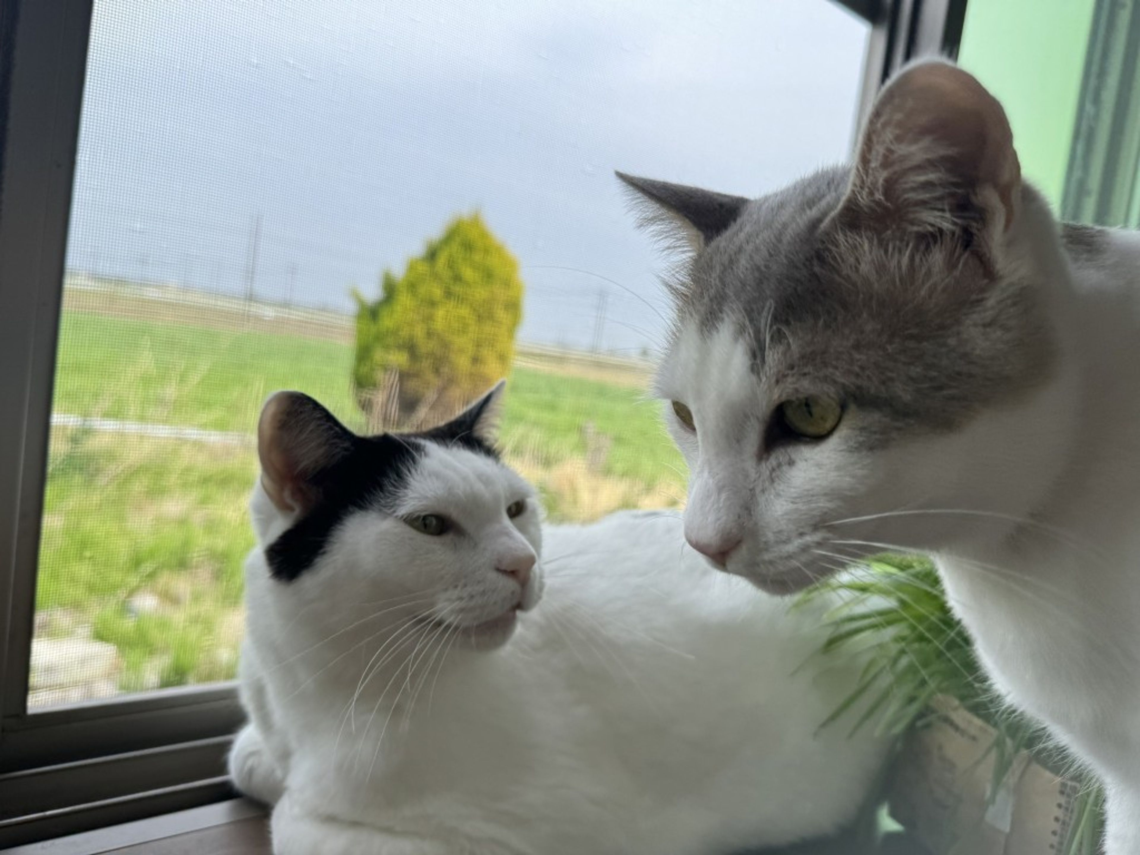 image-6