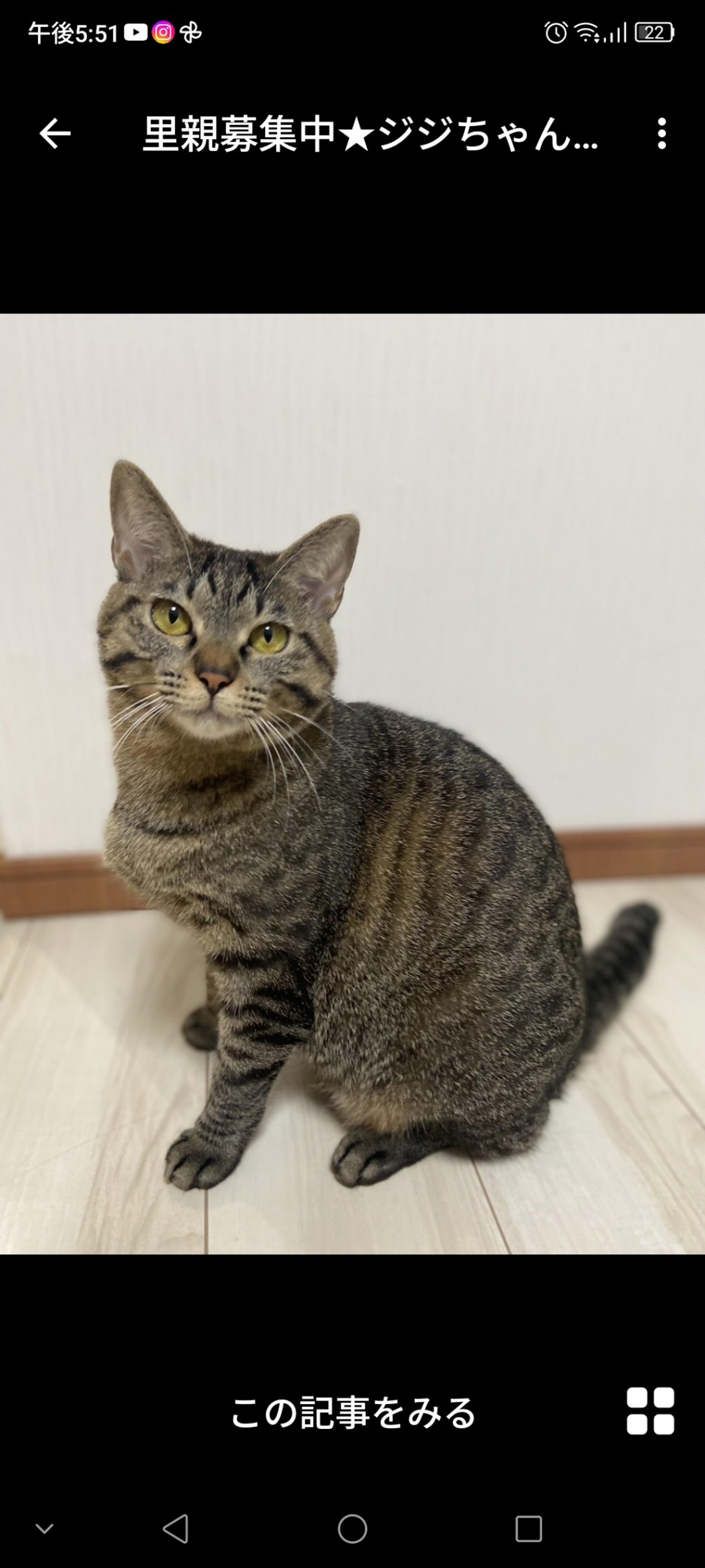 pet-image-3