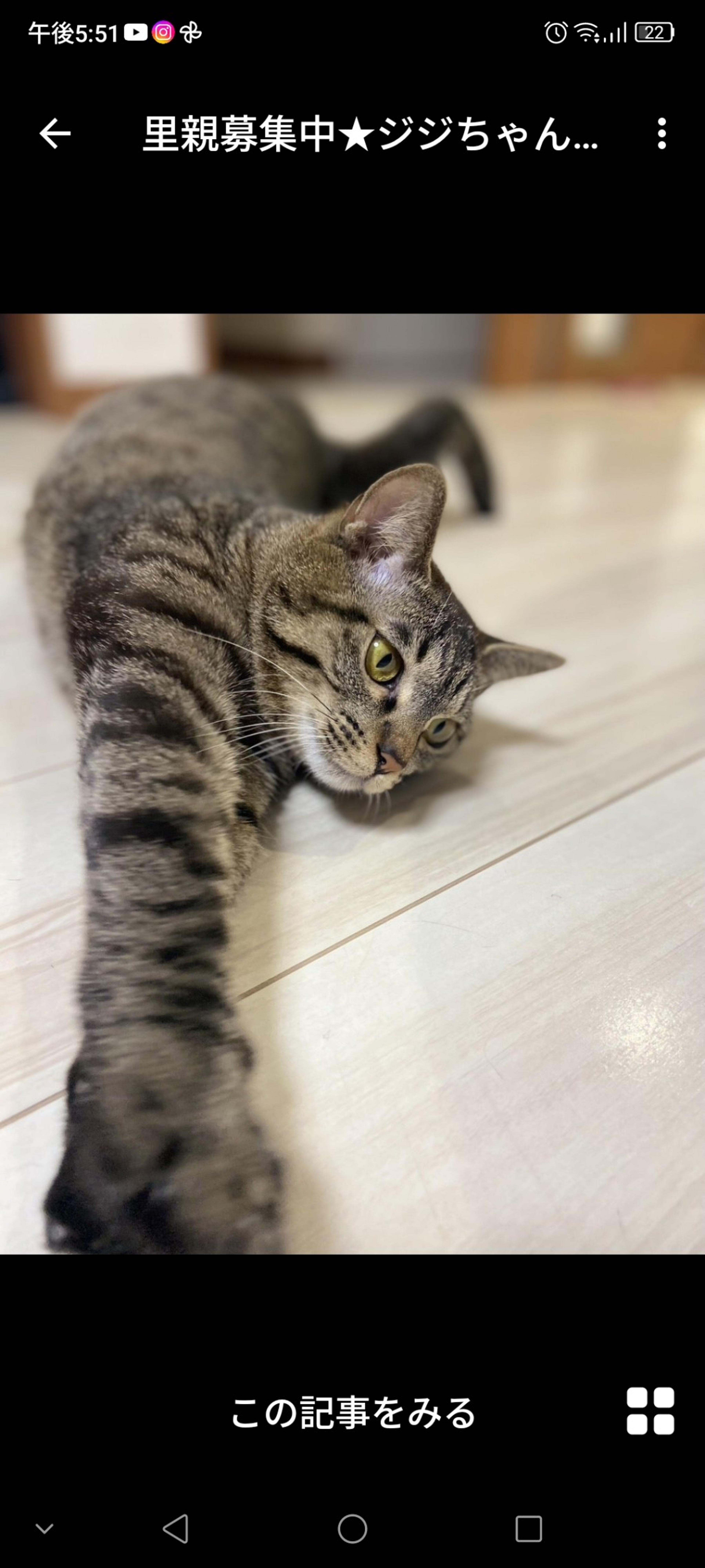 pet-image-2