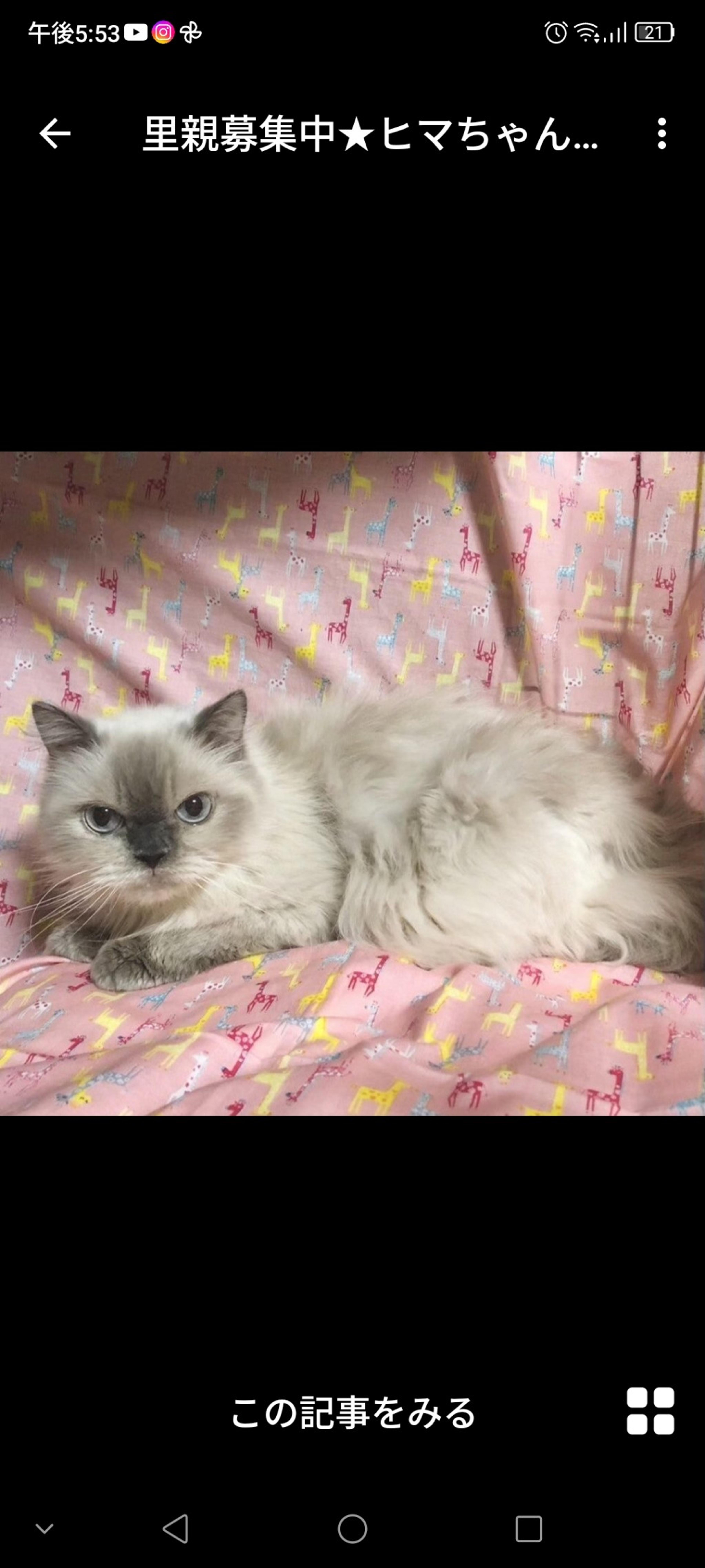 pet-image-3