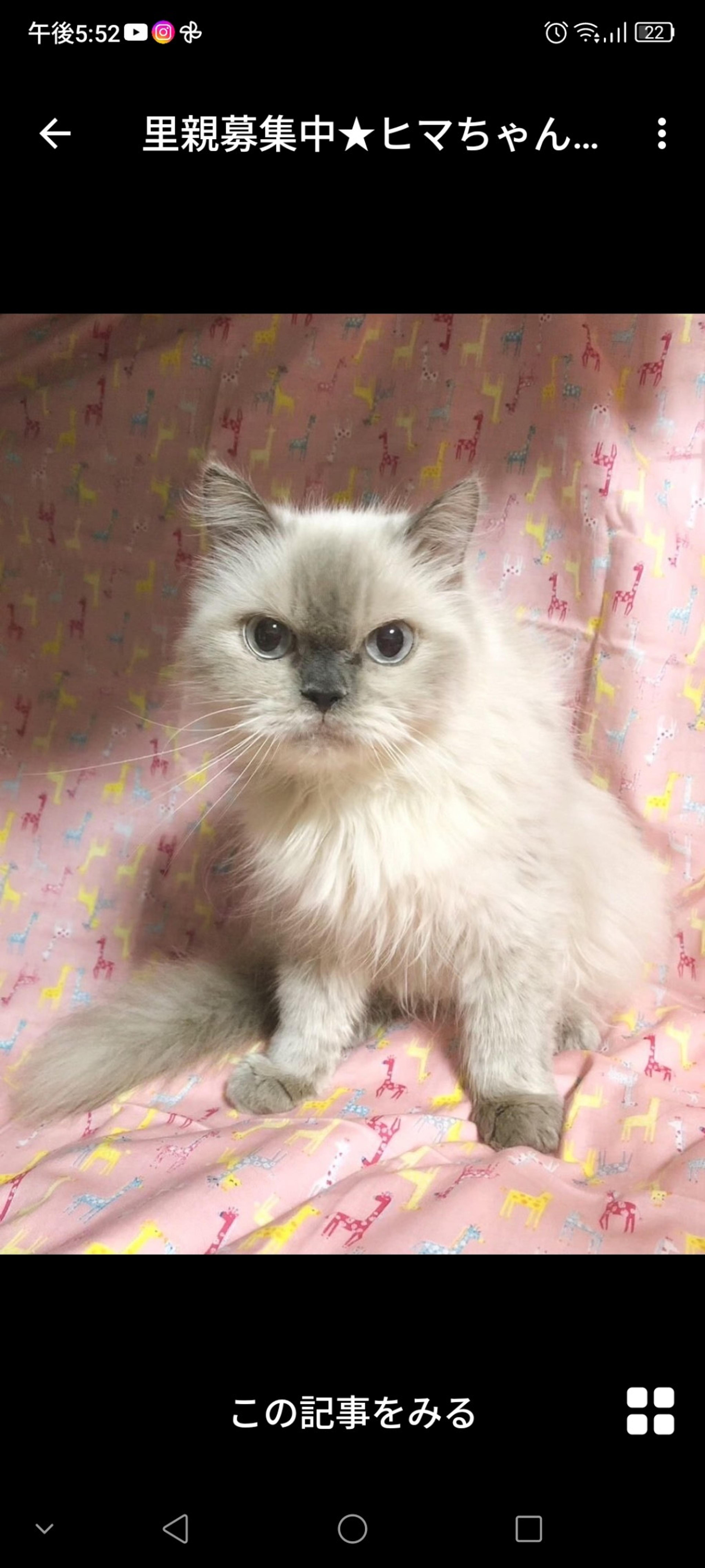 pet-image-2