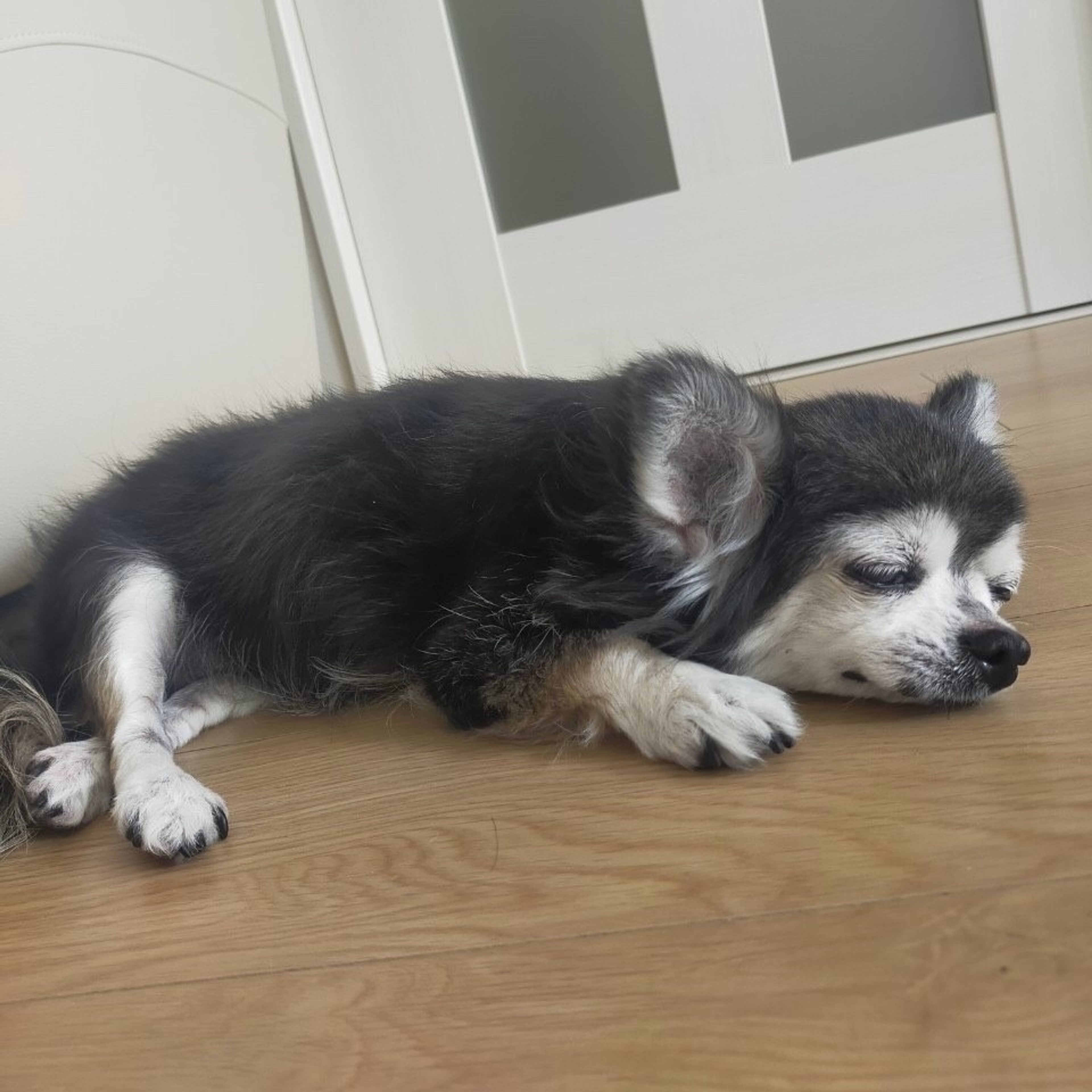 image-7