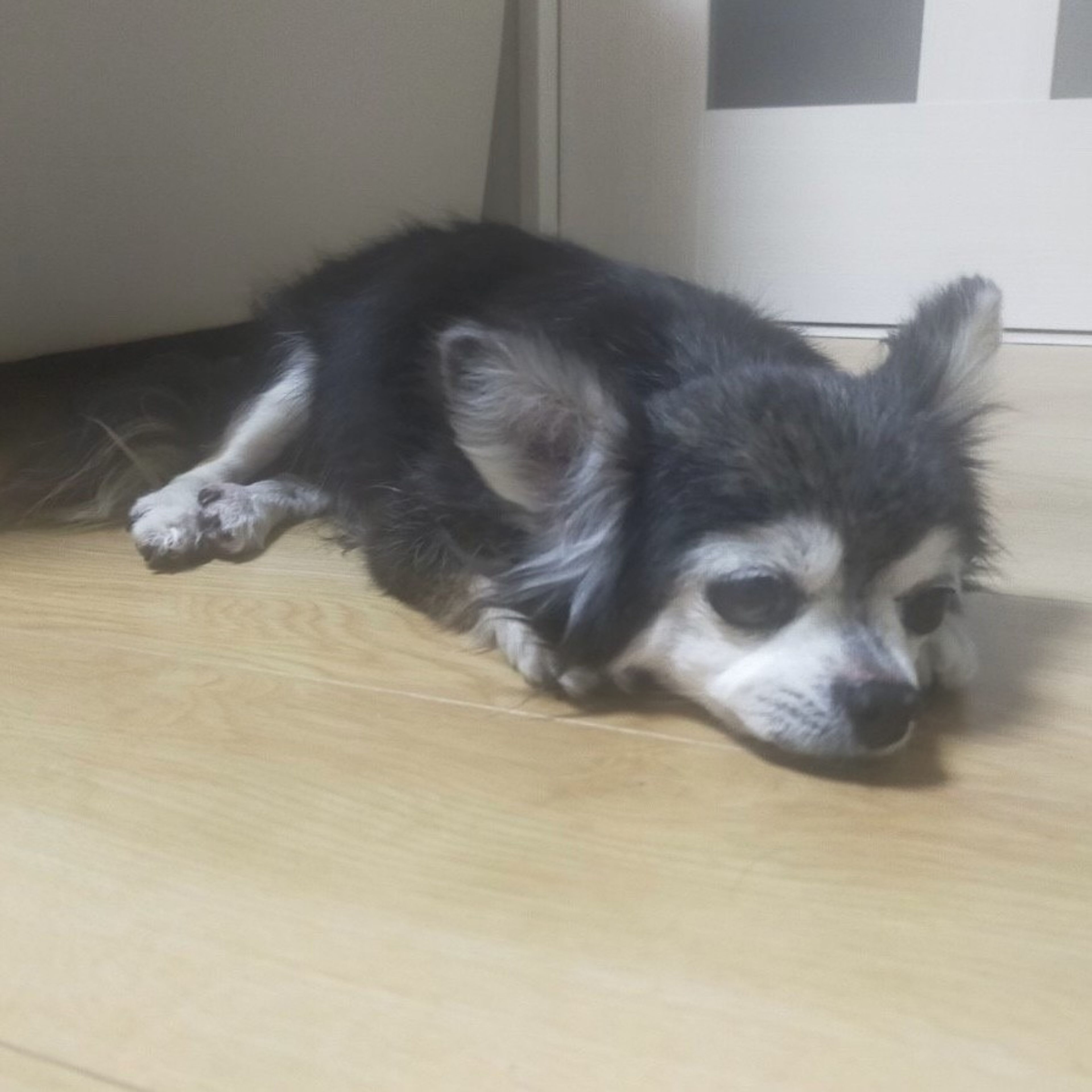 image-8