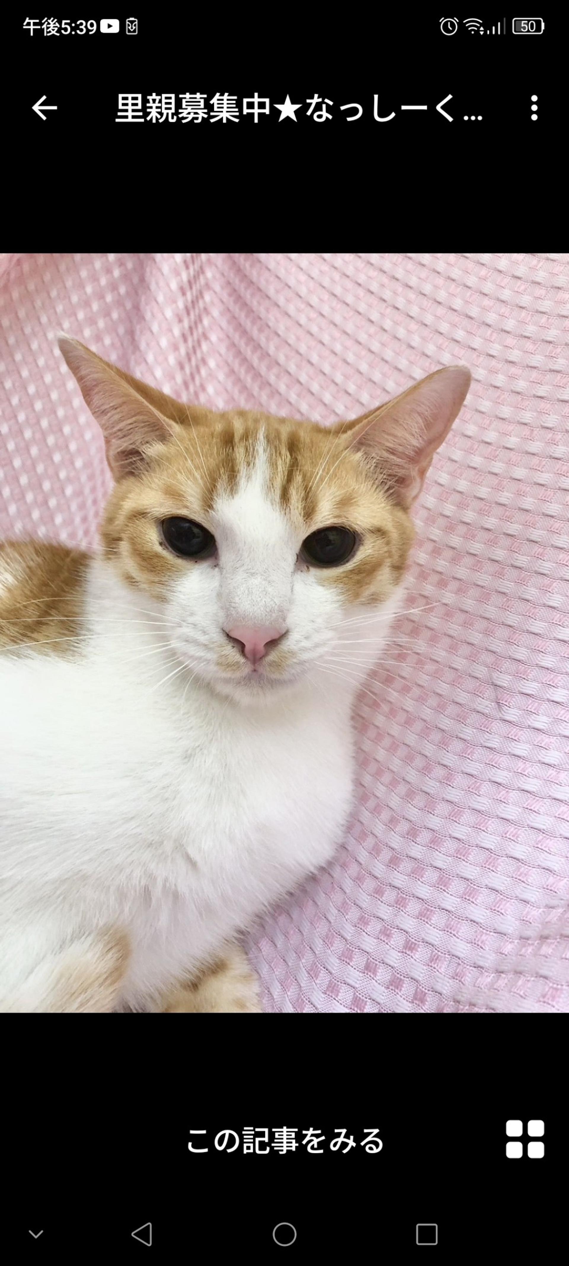 pet-image-3