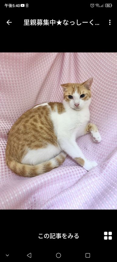 なっしーくん