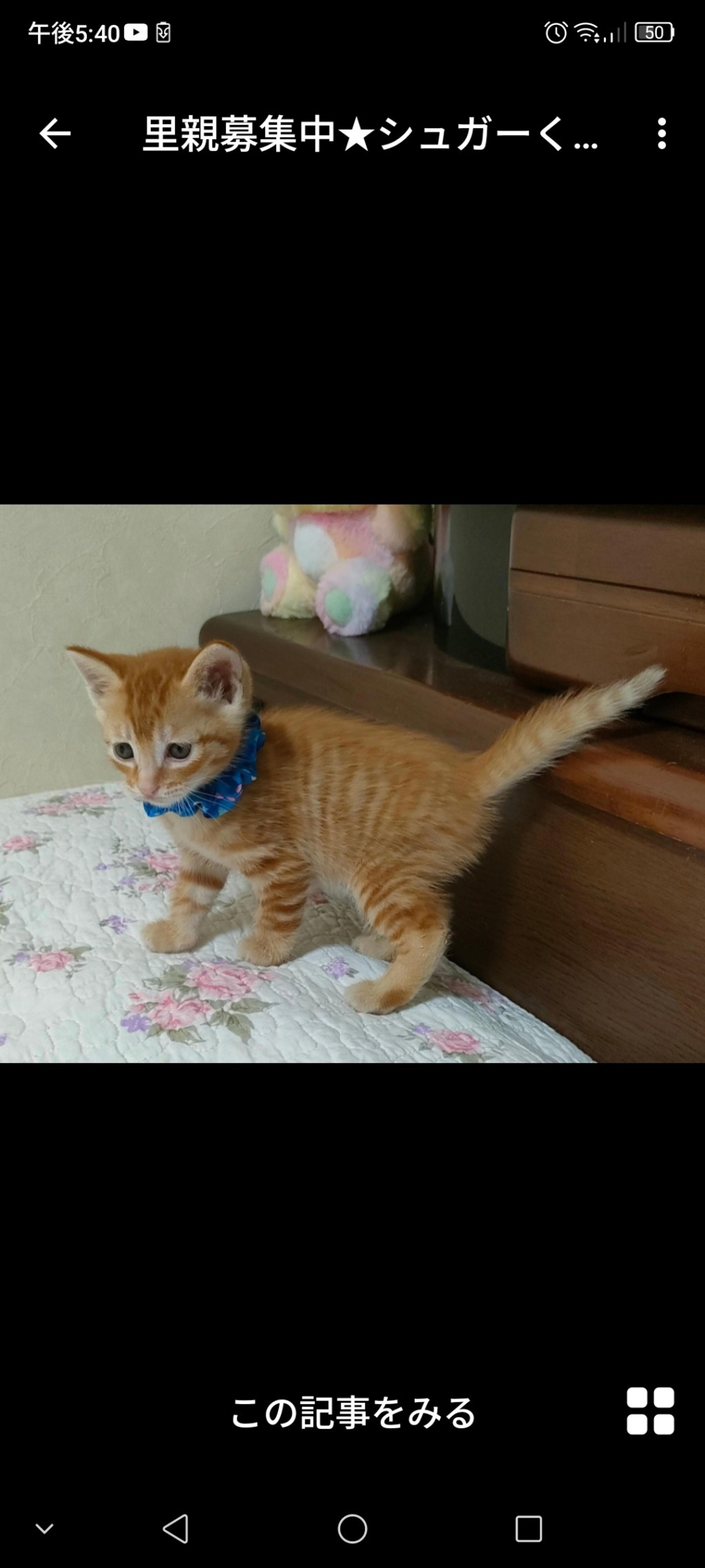 pet-image-3