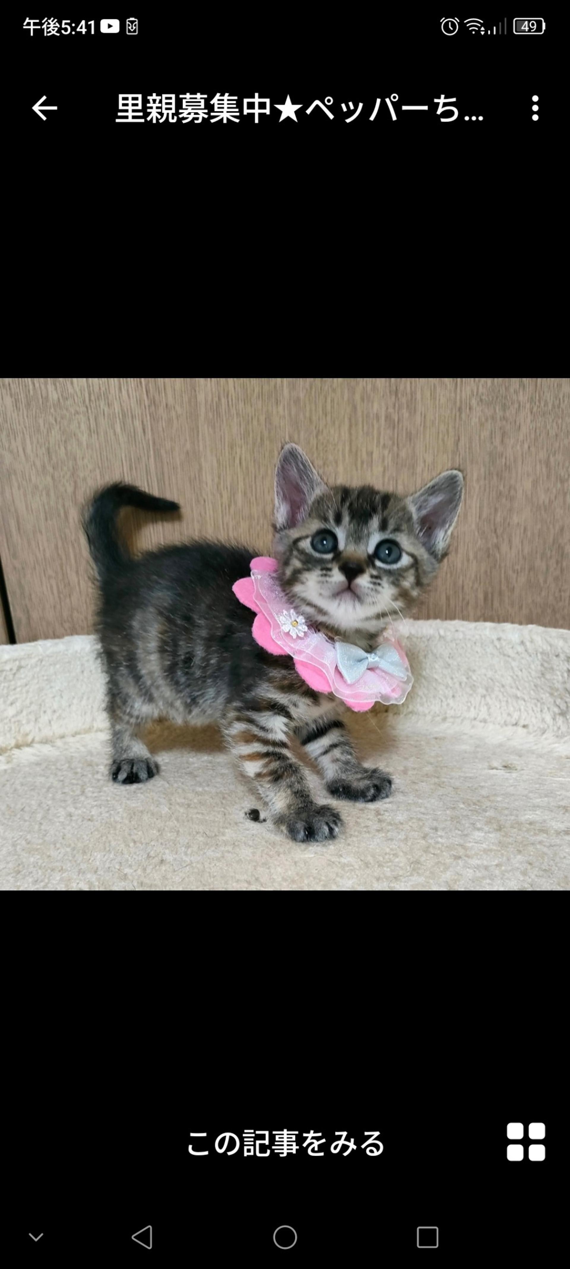 pet-image-2