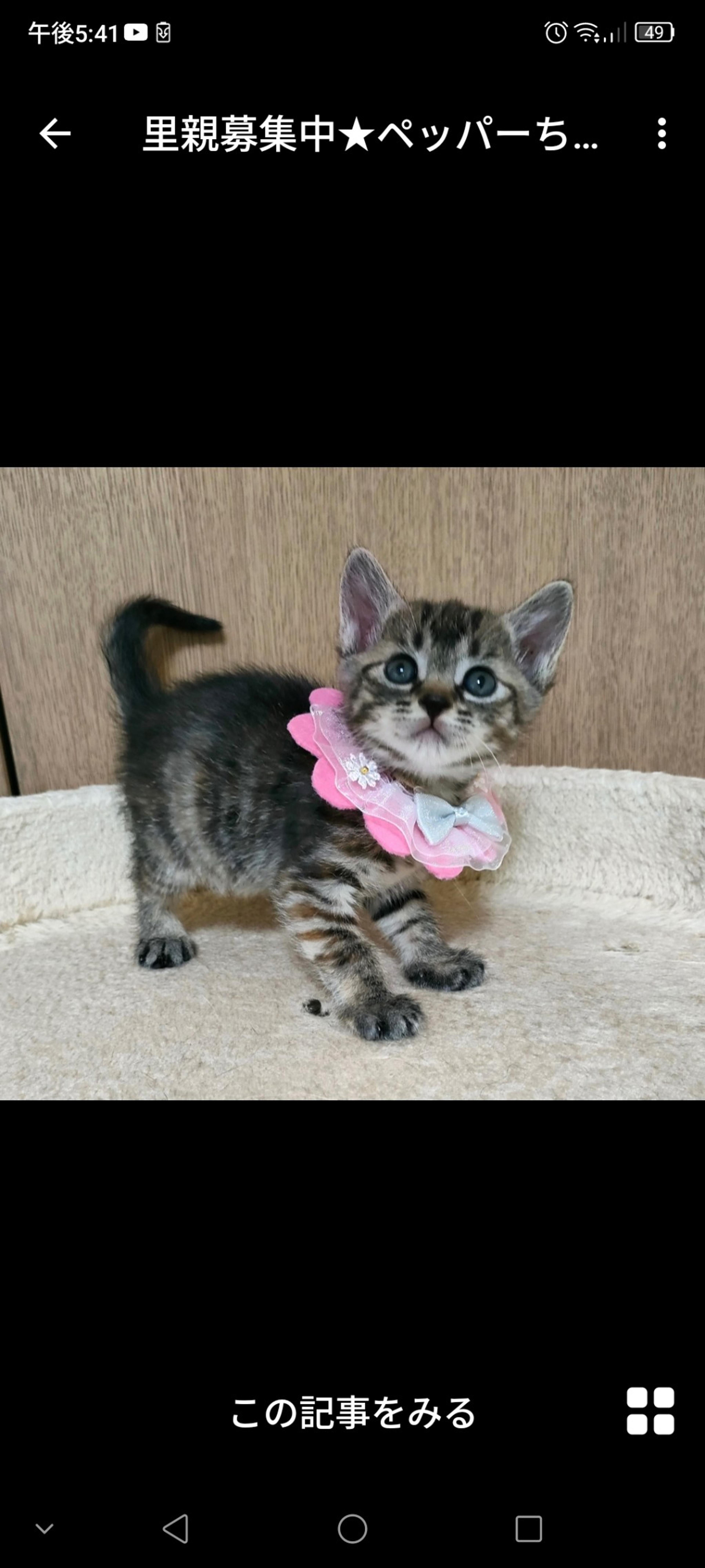 pet-image-2