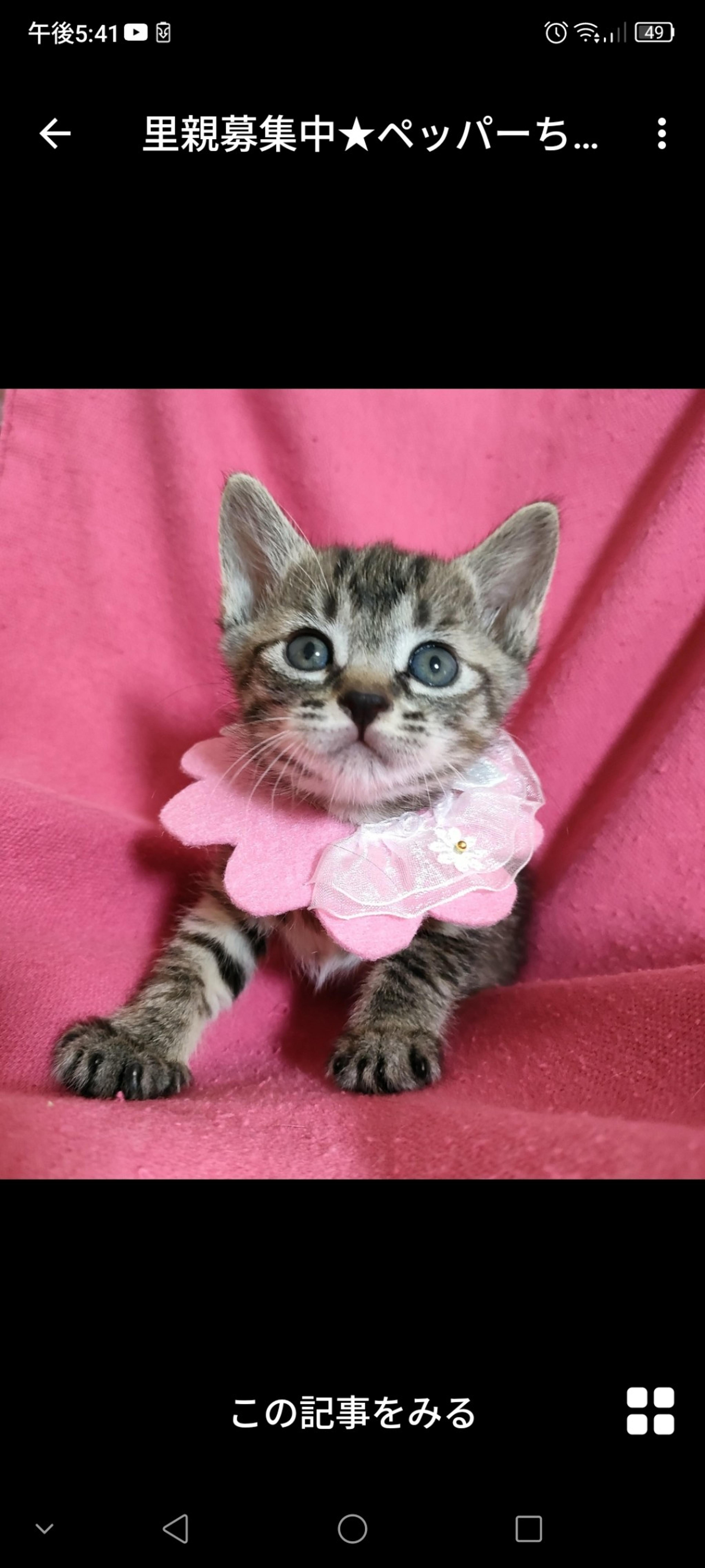 pet-image-3