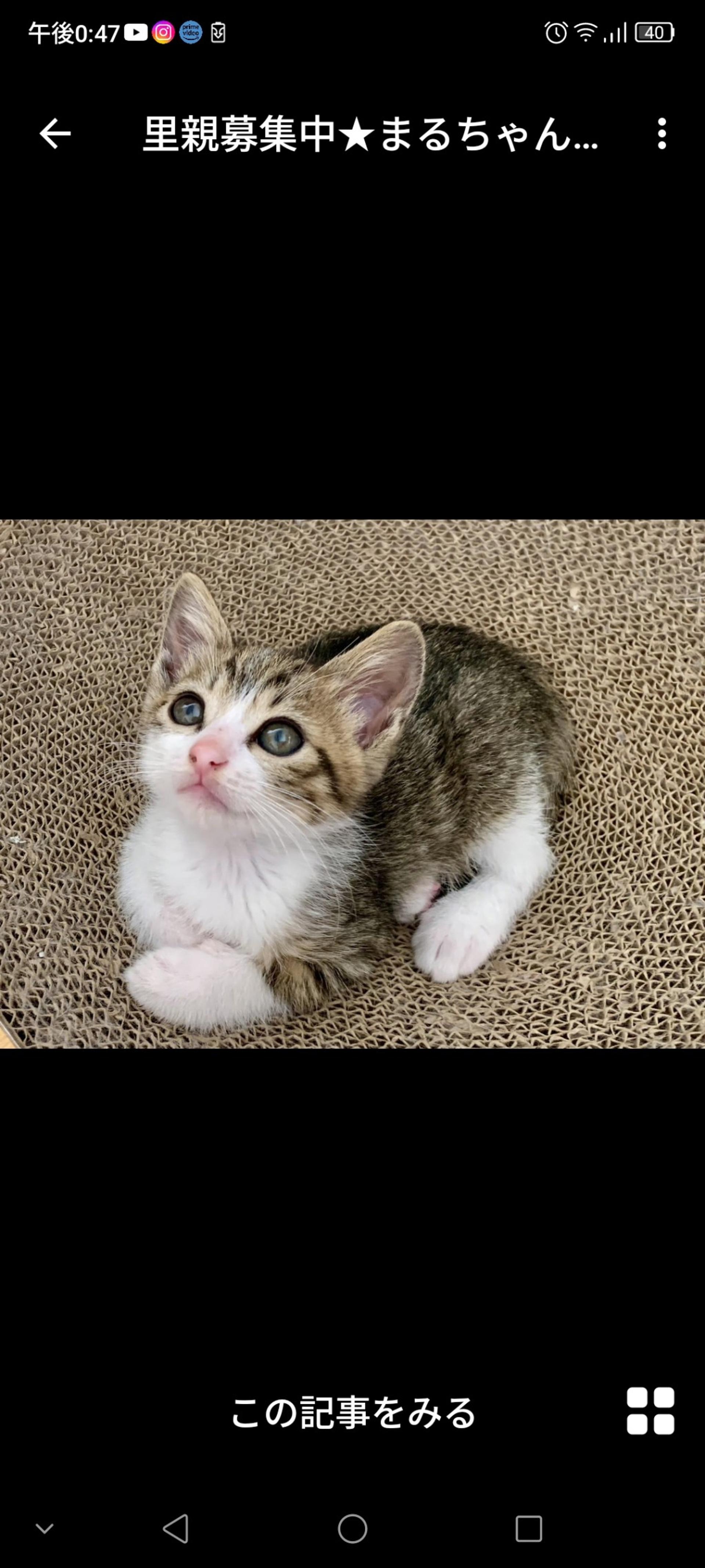 pet-image-3