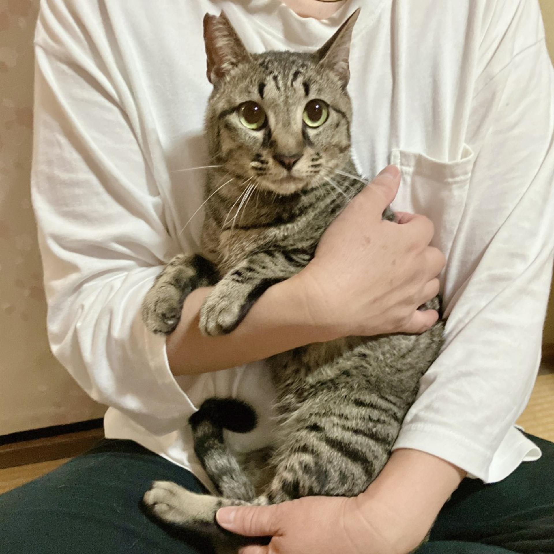 pet-image-3