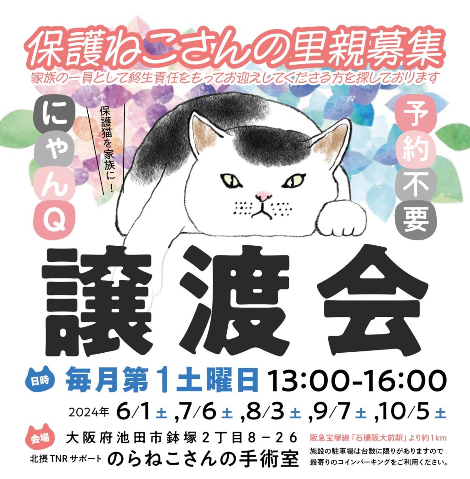 pet-image-5